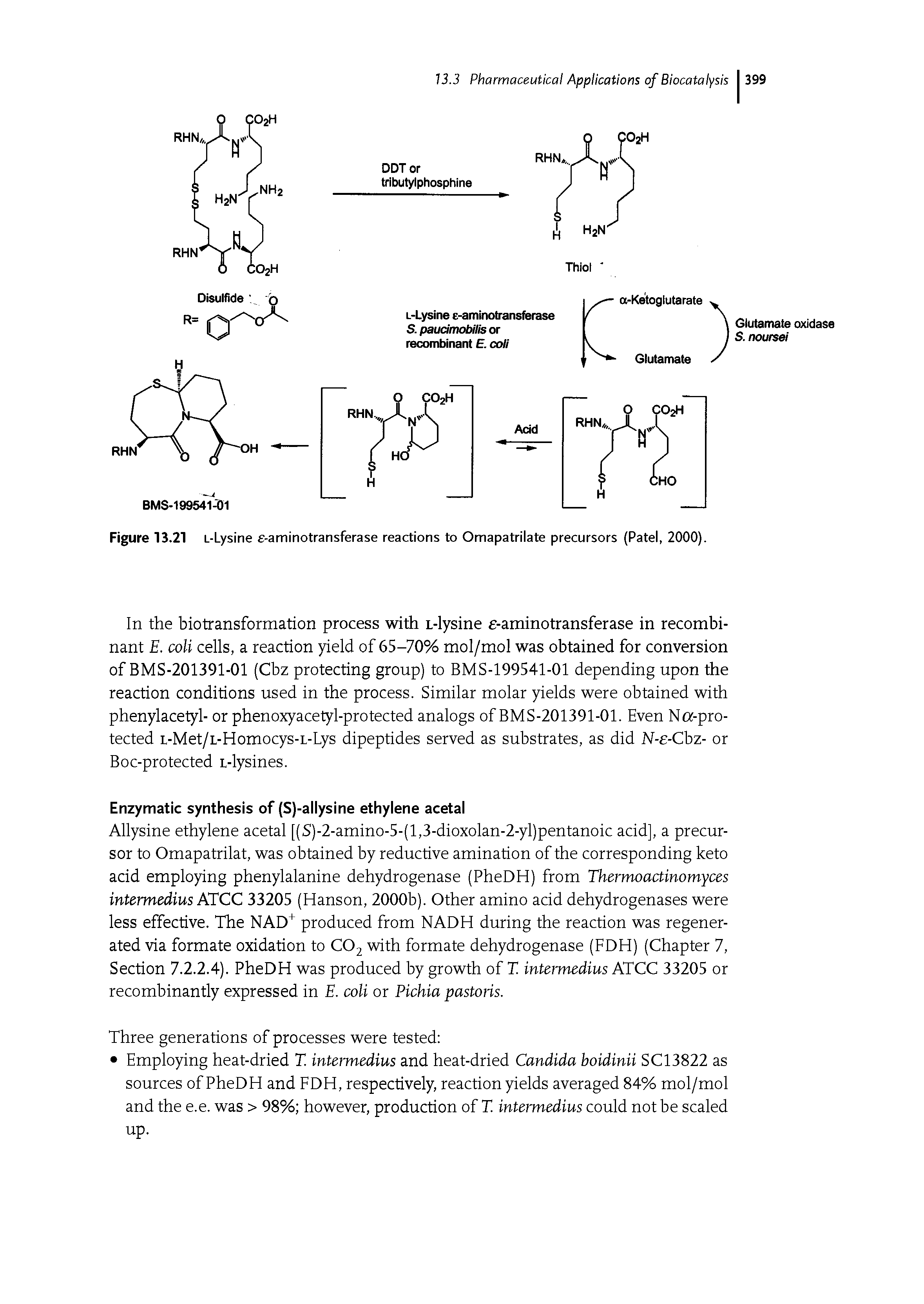 Figure 13.21 L-Lysine e-aminotransferase reactions to Omapatrilate precursors (Patel, 2000).