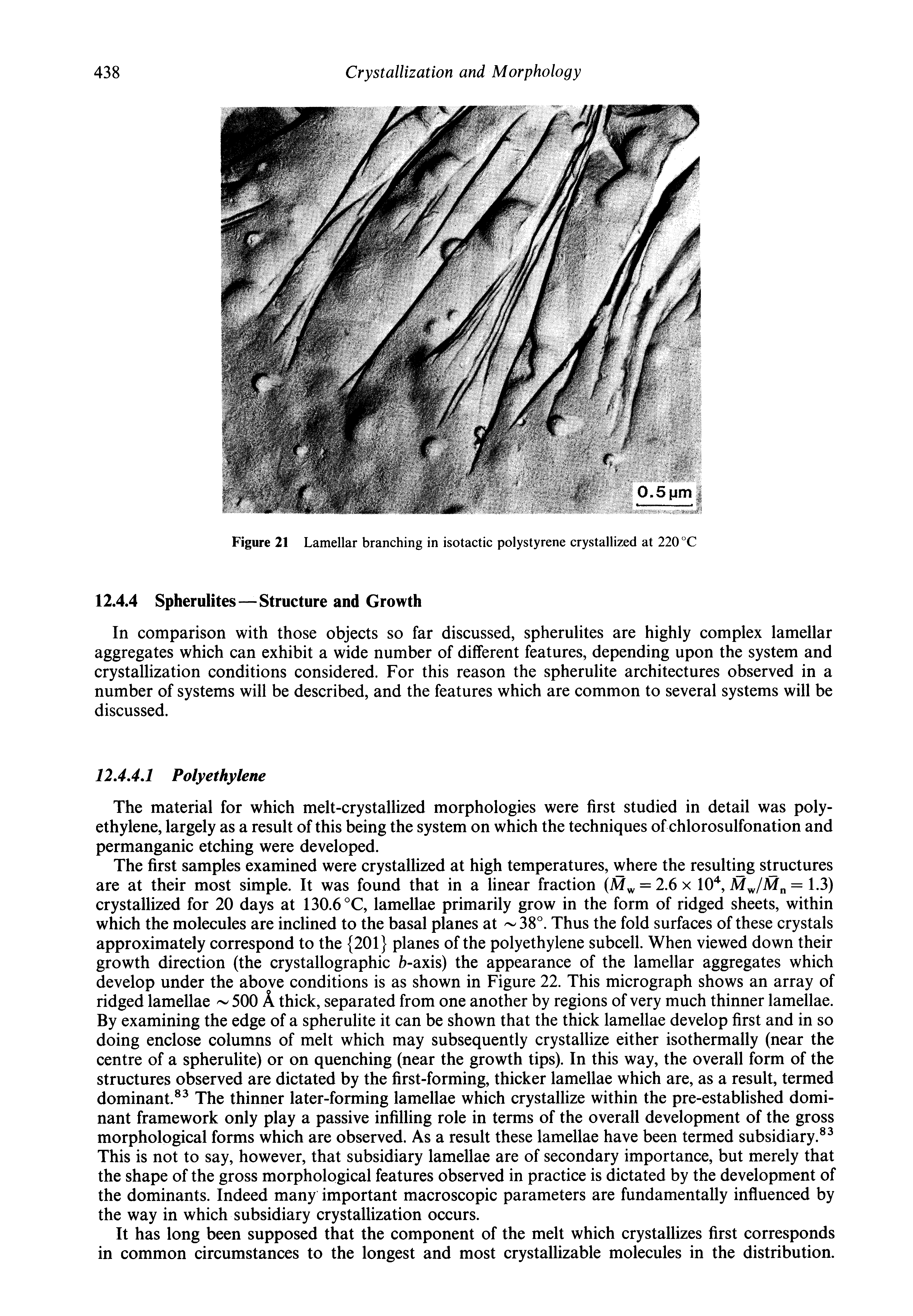 Figure 21 Lamellar branching in isotactic polystyrene crystallized at 220 °C...