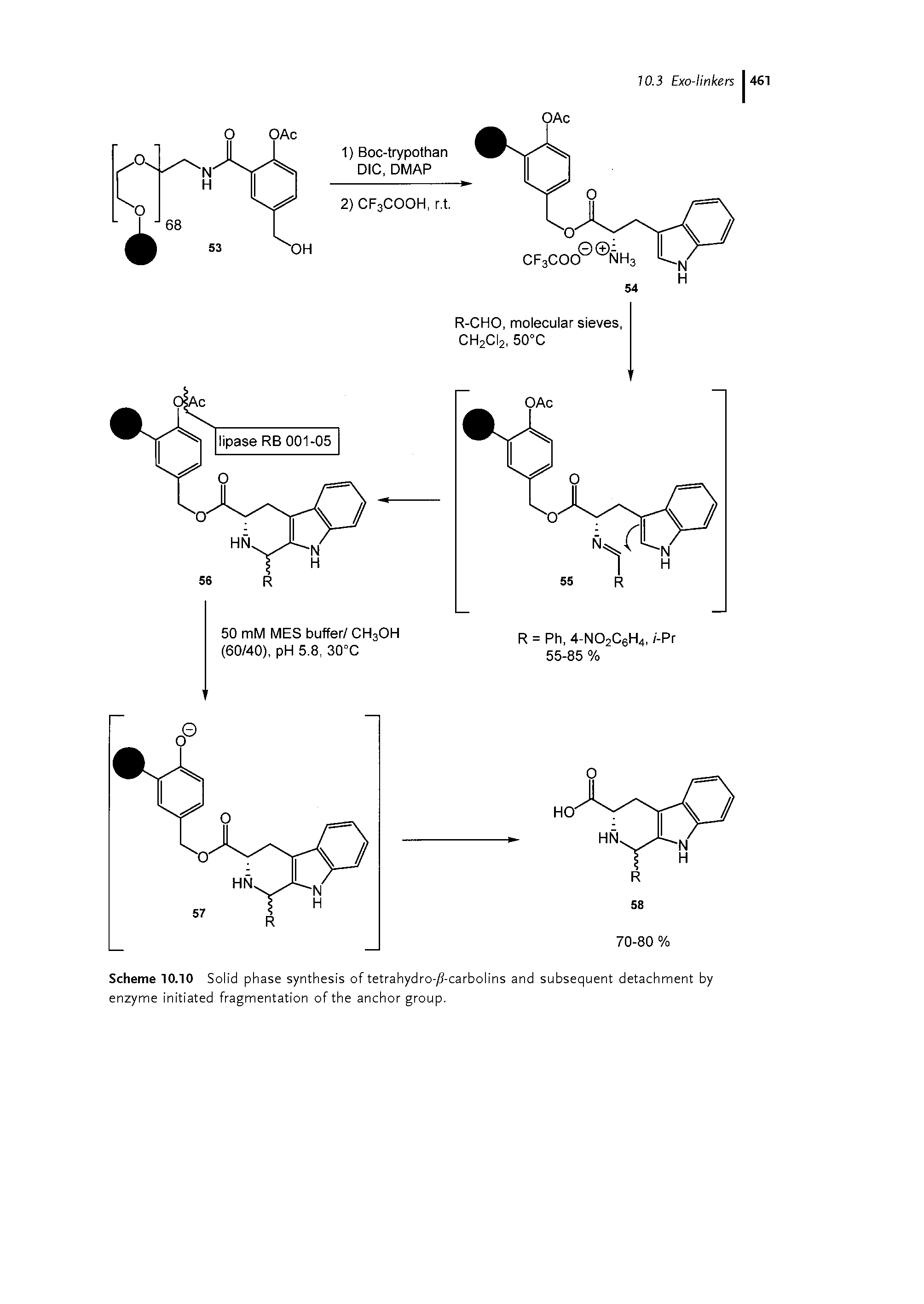 Scheme 10.10 Solid phase synthesis of tetrahydro-j8-carbolins and subsequent detachment by enzyme initiated fragmentation of the anchor group.
