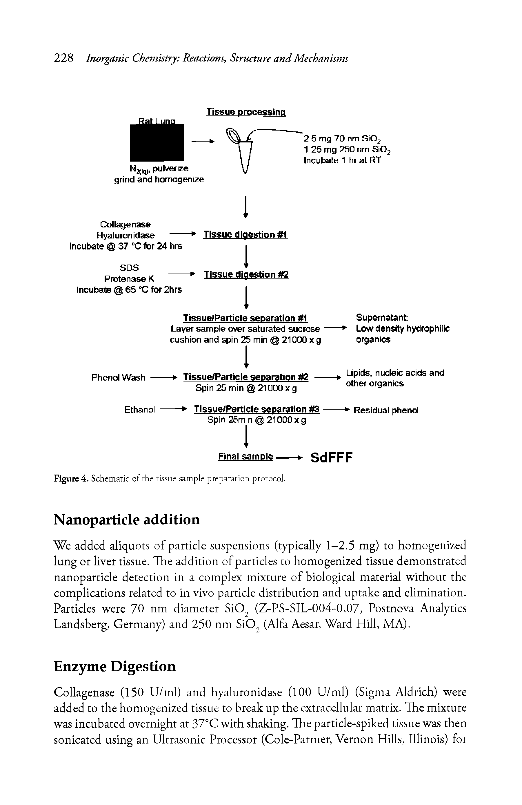 Figure 4. Schematic of the tissue sample preparation protocol.