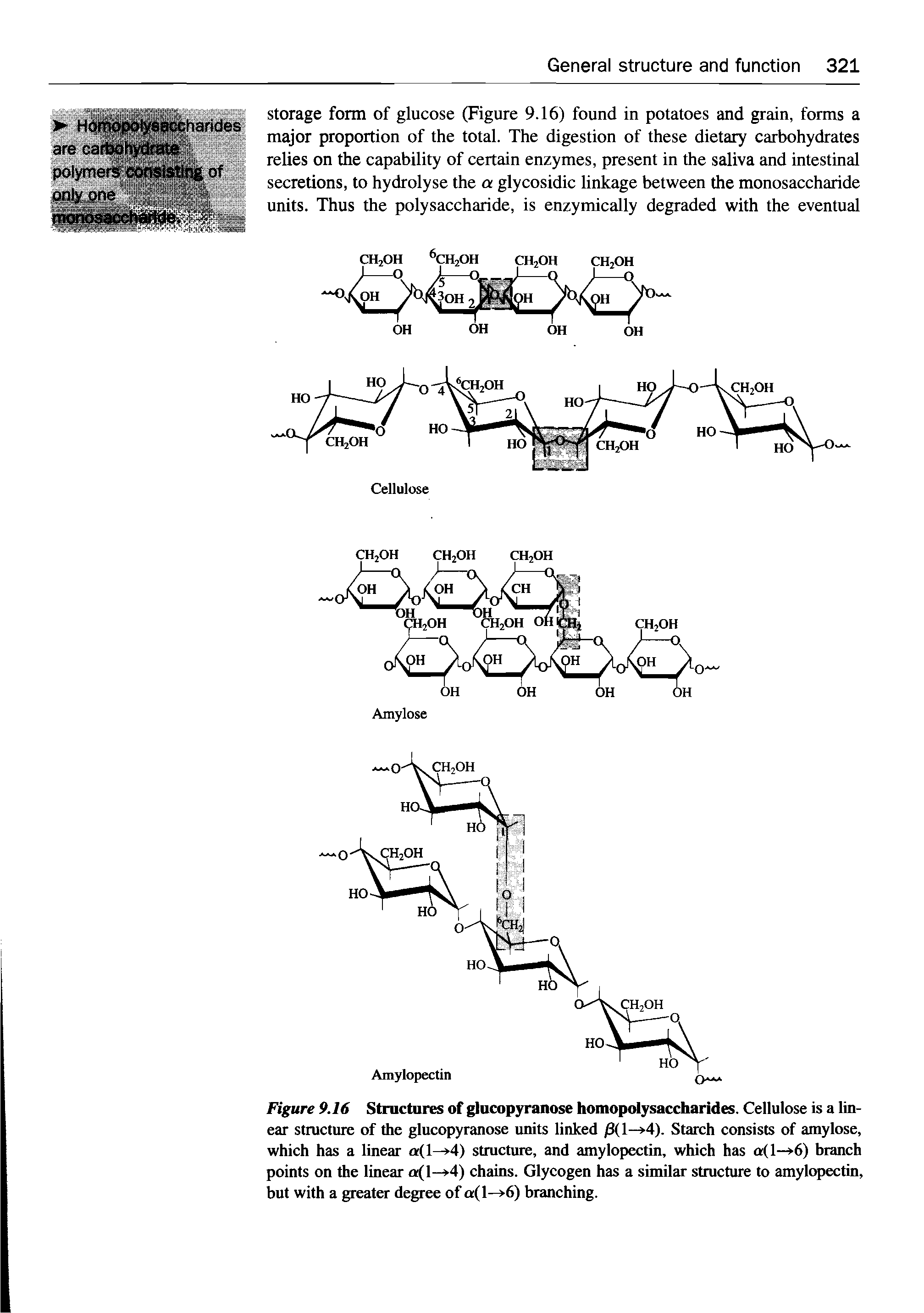 Figure 9.16 Structures of glucopyranose homopolysaccharides. Cellulose is a linear structure of the glucopyranose units linked /3( 1 —>4). Starch consists of amylose, which has a linear < (1—>4) structure, and amylopectin, which has a(l—>6) branch points on the linear a(l—>4) chains. Glycogen has a similar structure to amylopectin, but with a greater degree of < ( 1—>6) branching.