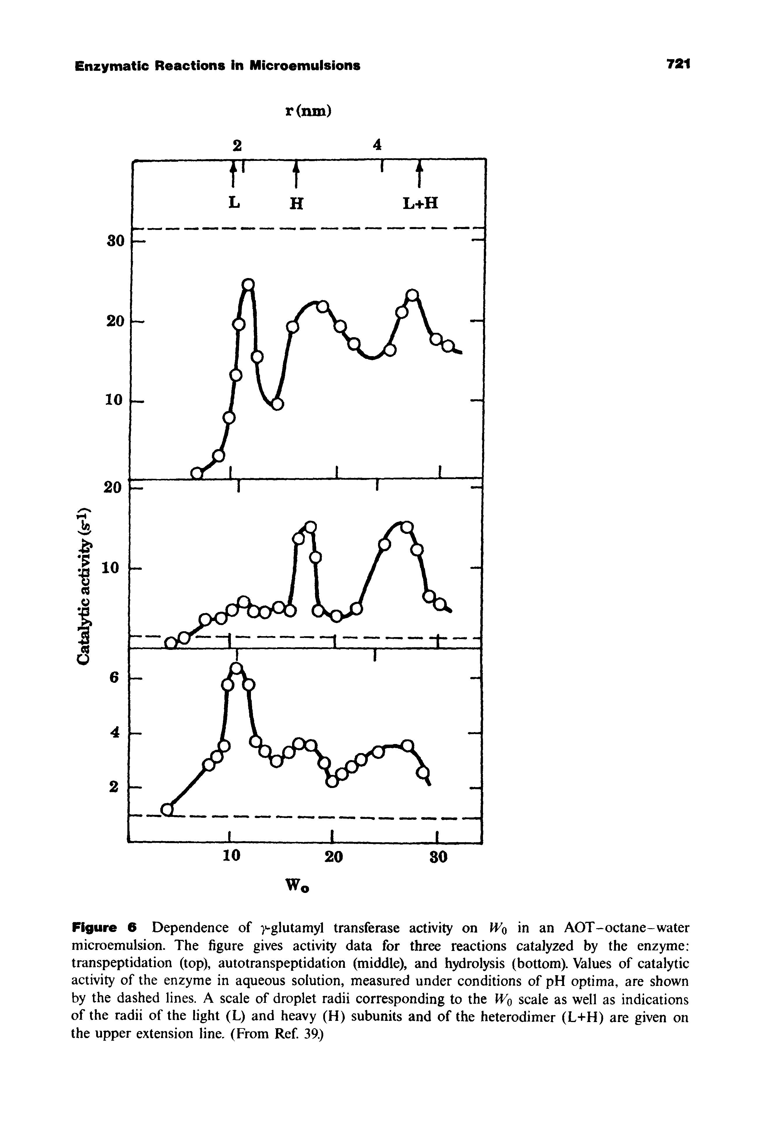 Figure 6 Dependence of y-glutamyl transferase activity on IVq in an AOT-octane-water microemulsion. The figure gives activity data for three reactions catalyzed by the enzyme transpeptidation (top), autotranspeptidation (middle), and hydrolysis (bottom). Values of catalytic activity of the enzyme in aqueous solution, measured under conditions of pH optima, are shown by the dashed lines. A scale of droplet radii corresponding to the Wq scale as well as indications of the radii of the light (L) and heavy (H) subunits and of the heterodimer (L+H) are given on the upper extension line. (From Ref 39.)...