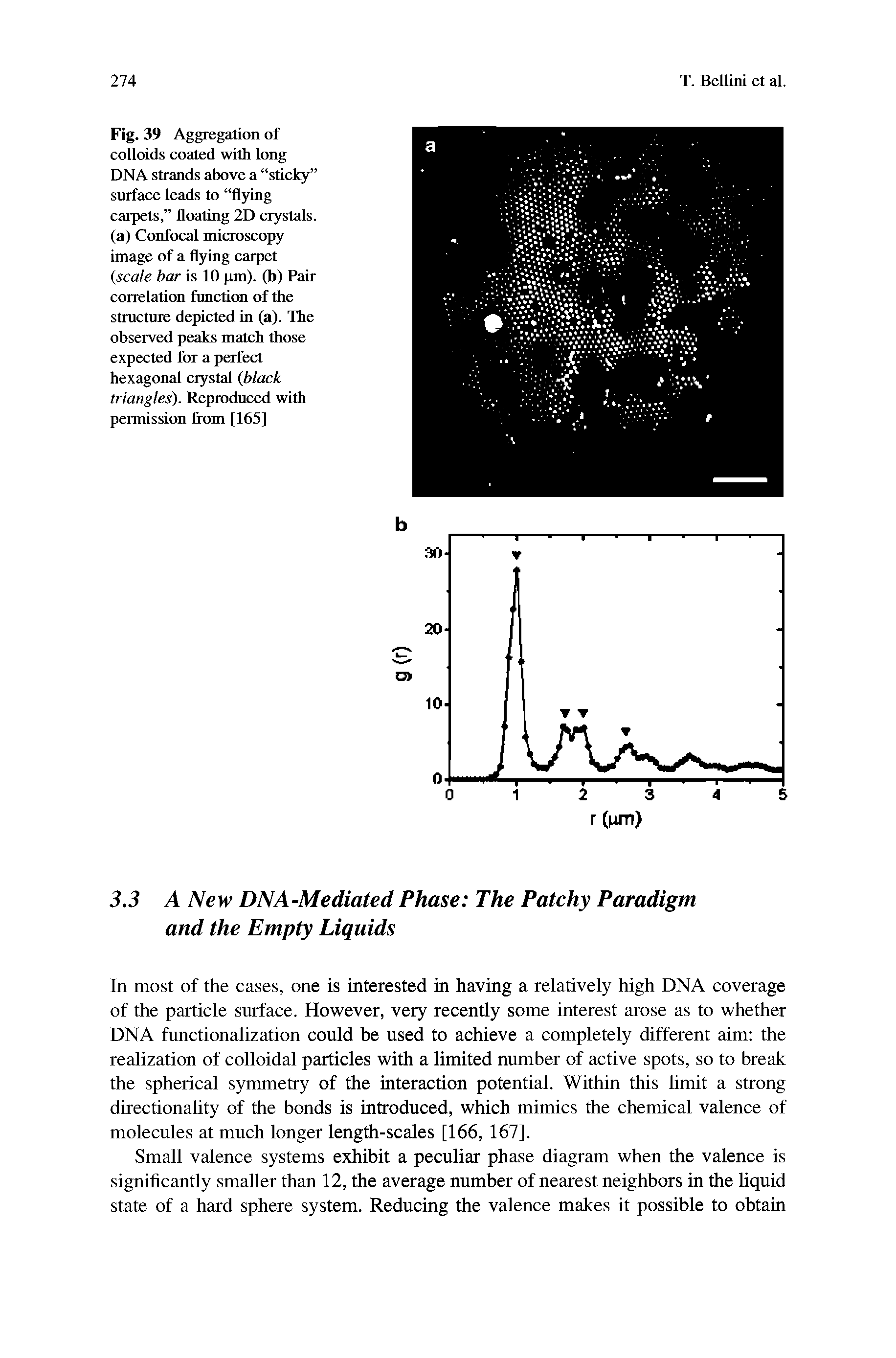 Fig. 39 Aggregation of colloids coated with long DNA strands above a sticky surface leads to flying carpets, floating 2D crystals, (a) Confocal microscopy image of a flying carpet (scale bar is 10 pm), (b) Pair correlation function of the structure depicted in (a). The observed peaks match those expected for a perfect hexagonal crystal (black triangles). Reproduced with permission from [165]...