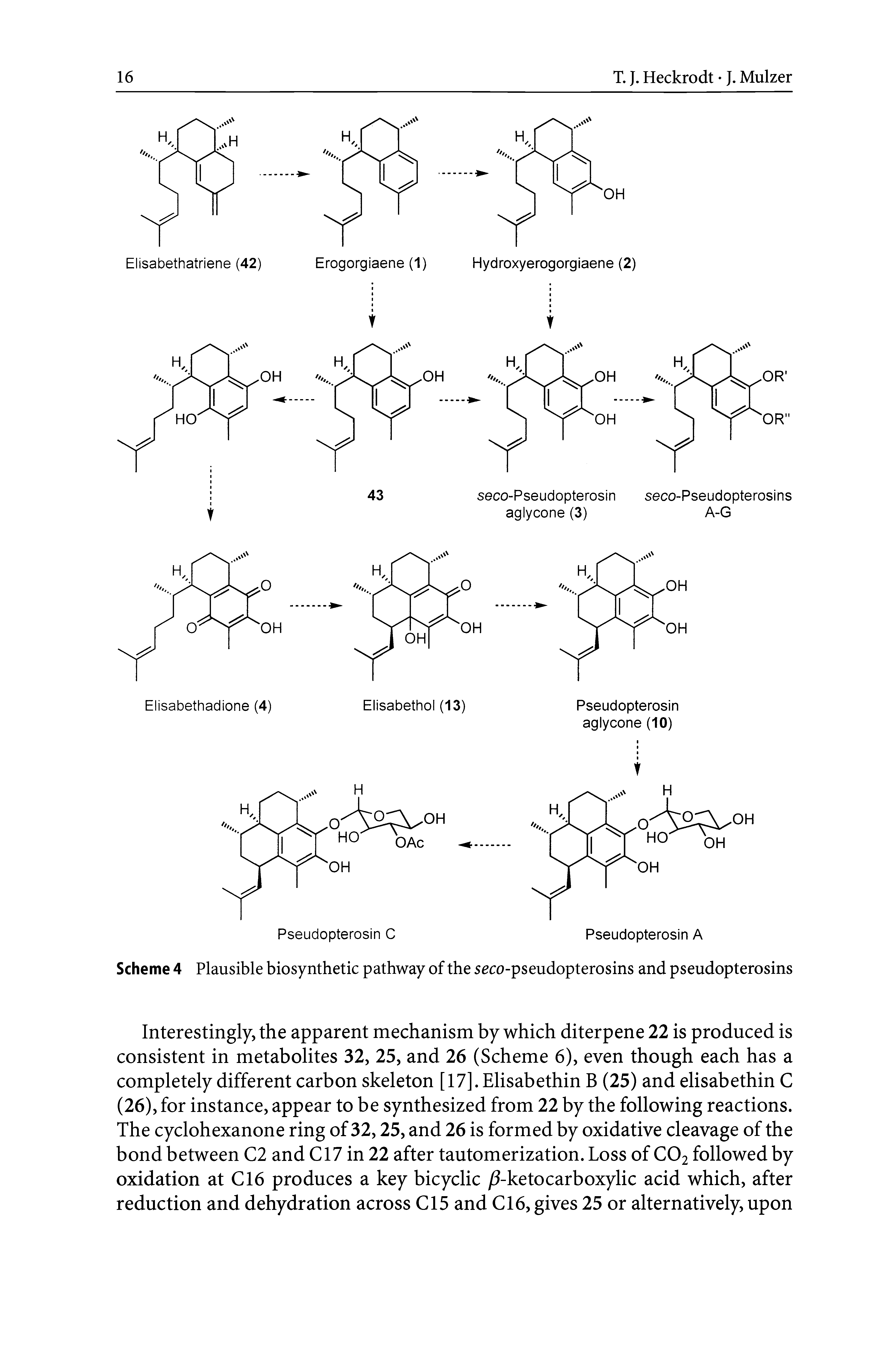 Scheme 4 Plausible biosynthetic pathway of the seco-pseudopterosins and pseudopterosins...