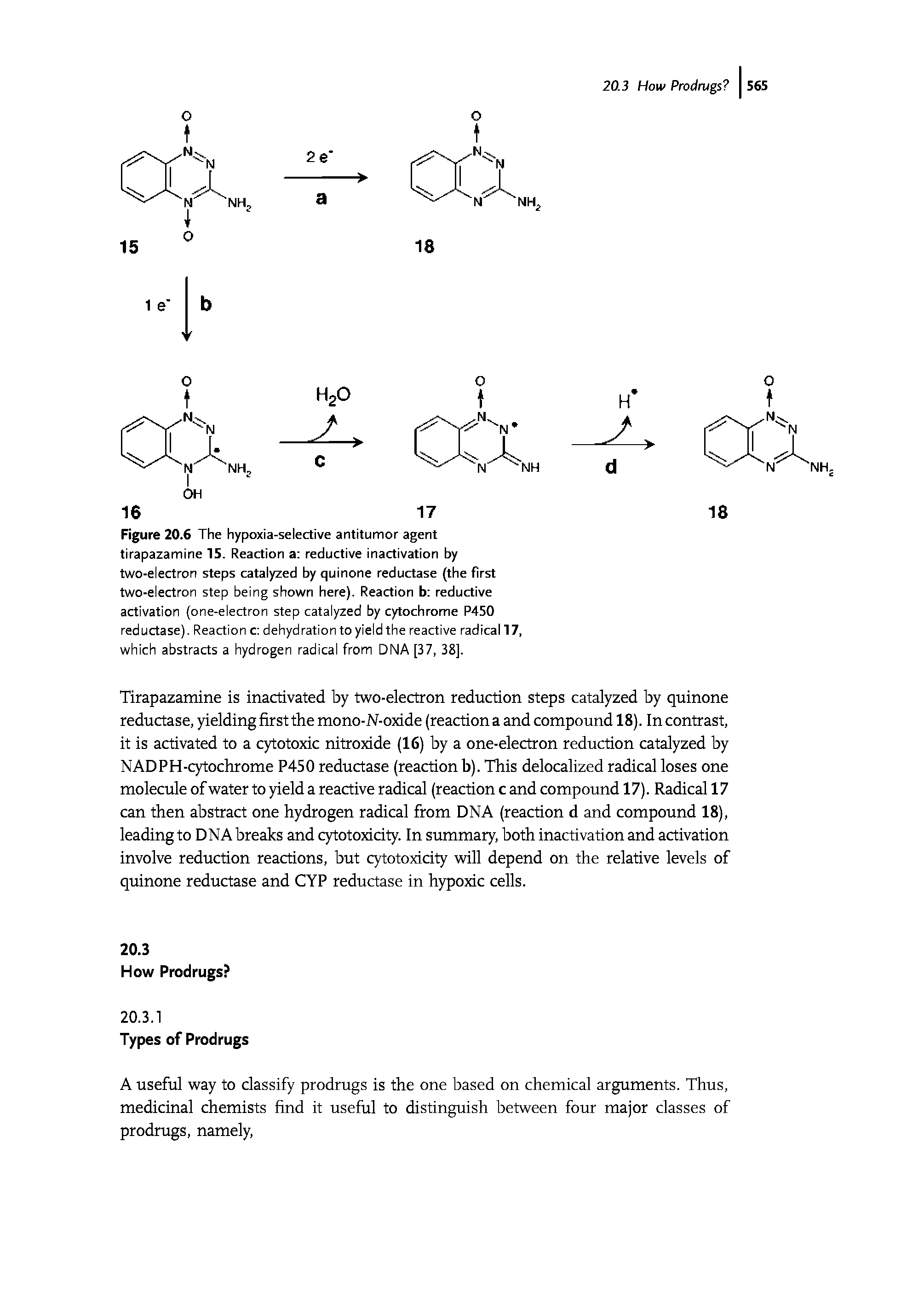 Figure 20.6 The hypoxia-selective antitumor agent tirapazamine 15. Reaction a reductive inactivation by two-electron steps catalyzed by quinone reductase (the first two-electron step being shown here). Reaction b reductive activation (one-electron step catalyzed by cytochrome P450 reductase). Reaction c dehydration to yield the reactive radical 17, which abstracts a hydrogen radical from DNA [37, 38].