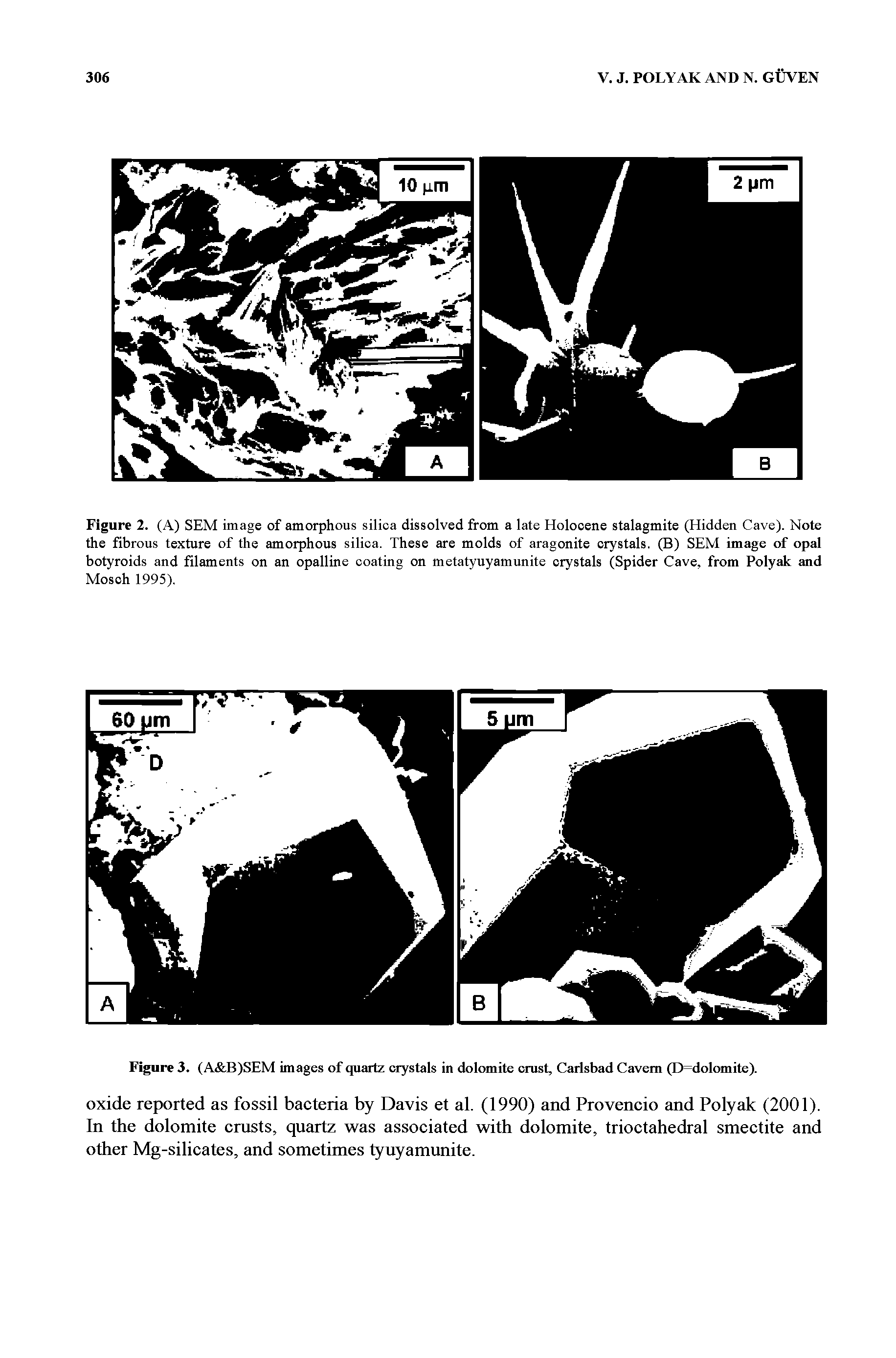Figure 3. (A B)SEM images of quMtz crystals in dolomite crust, Carlsbad Cavern (D=dolomite).