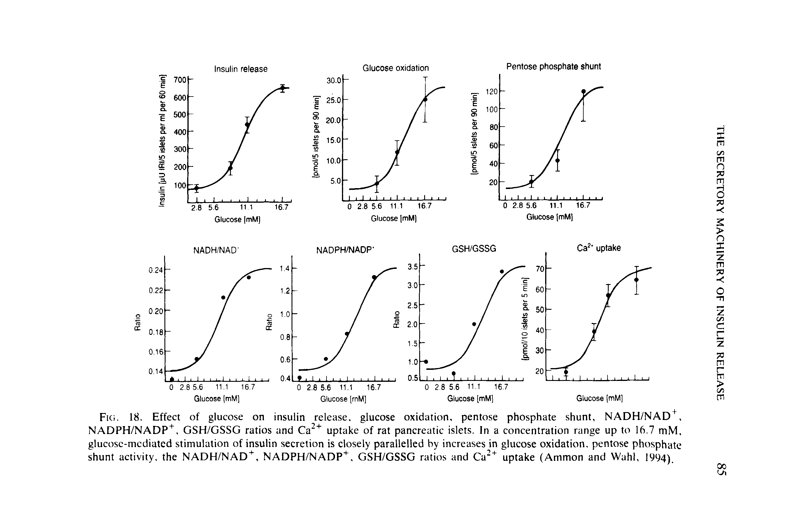 Fig. 18. Effect of glucose on insulin release, glucose oxidation, pentose phosphate shunt, NADH/NAD +, NADPH/NADP"1", GSH/GSSG ratios and Ca + uptake of rat pancreatic islets. In a concentration range up to 16.7 mM, glucose-mediated stimulation of insulin secretion is closely parallelled by increases in glucose oxidation, pentose phosphate shunt activity, the NADH/NAD+, NADPH/NADP+, GSH/GSSG ratios and Ca2+ uptake (Ammon and Wahl, 1994).