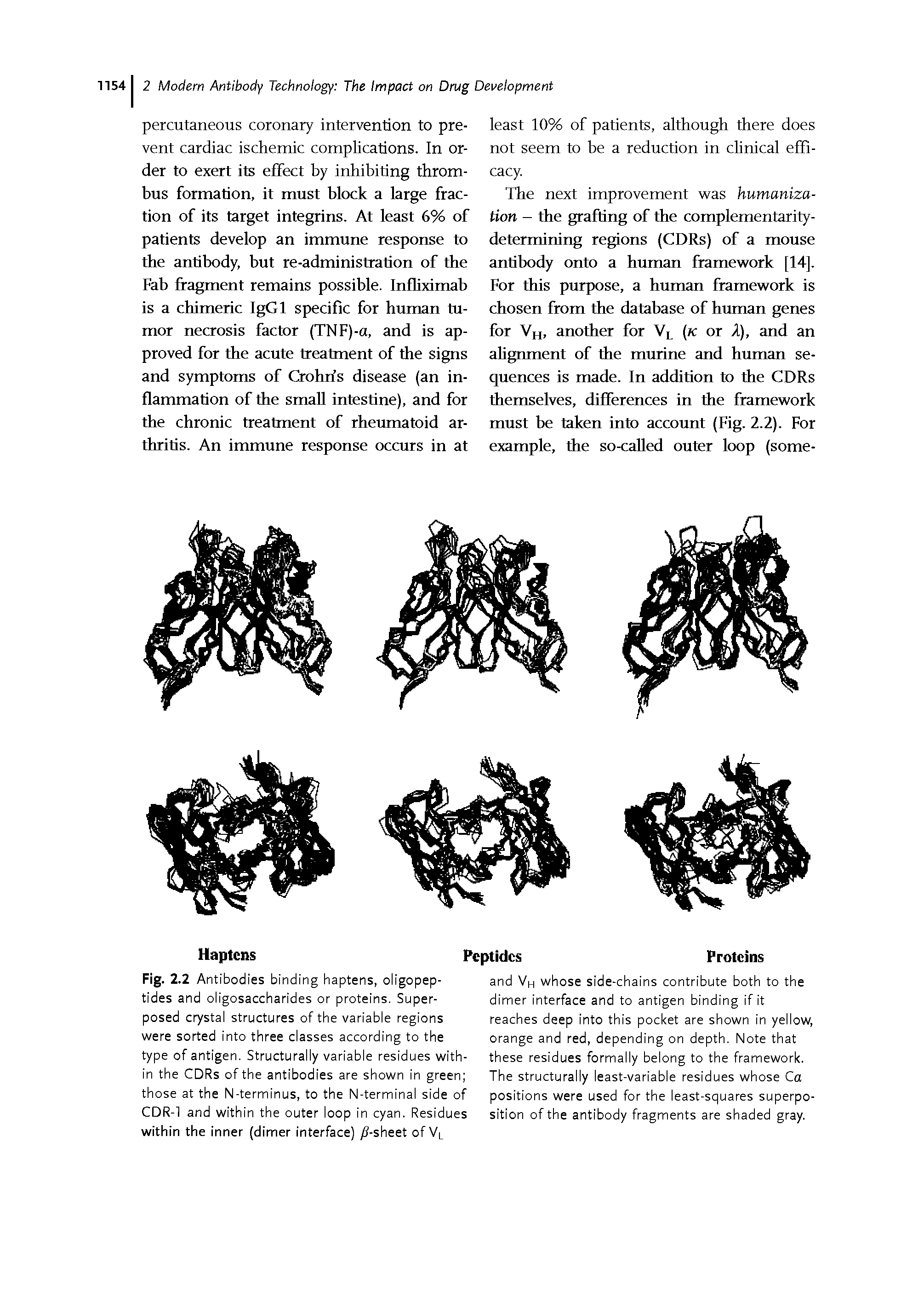 Fig. 2.2 Antibodies binding haptens, oligopeptides and oligosaccharides or proteins. Superposed crystal structures of the variable regions were sorted into three classes according to the type of antigen. Structurally variable residues within the CDRs of the antibodies are shown in green those at the N-terminus, to the N-terminal side of CDR-1 and within the outer loop in cyan. Residues within the inner (dimer interface) j8-sheet ofVL...