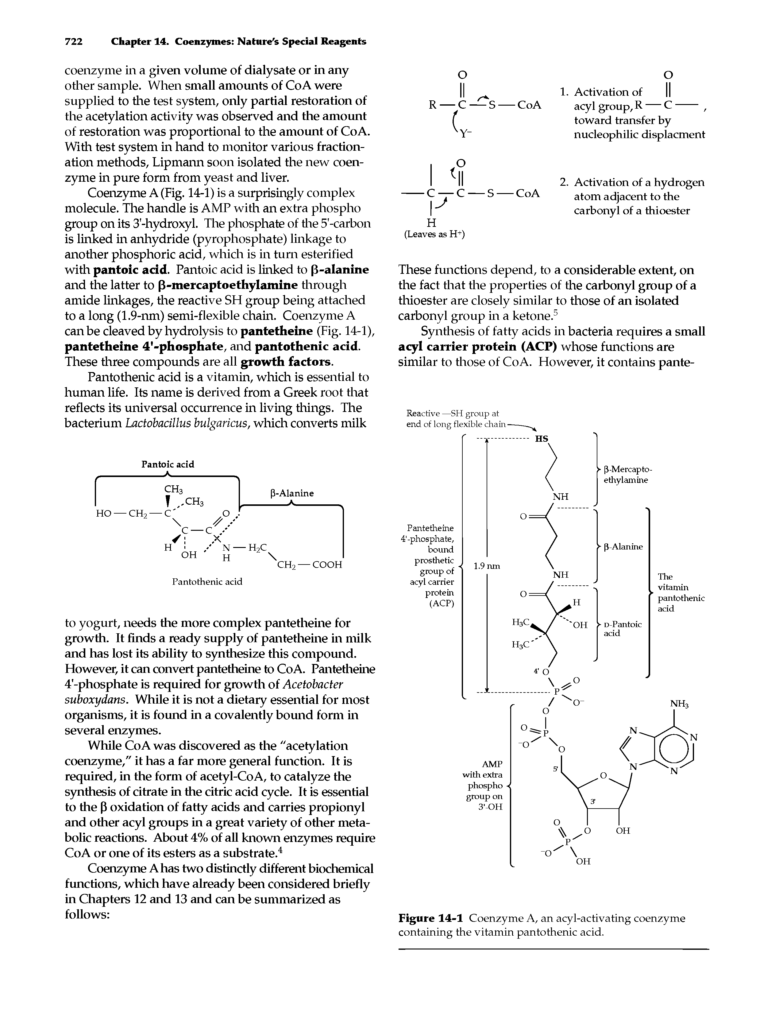 Figure 14-1 Coenzyme A, an acyl-activating coenzyme containing the vitamin pantothenic acid.