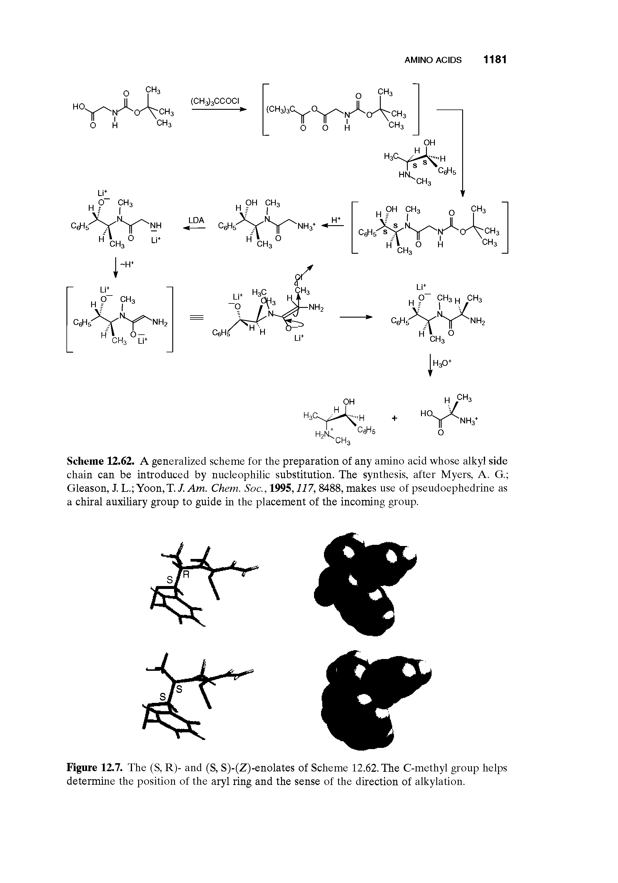 Scheme 12.62. A generalized scheme for the preparation of any amino acid whose alkyl side chain can be introduced by nucleophilic substitution. The synthesis, after Myers, A. G. Gleason, J. L. Yoon,T. /. Am. Chem. Soc., 1995,117,8488, makes use of pseudoephedrine as a chiral auxiliary group to guide in the placement of the incoming group.