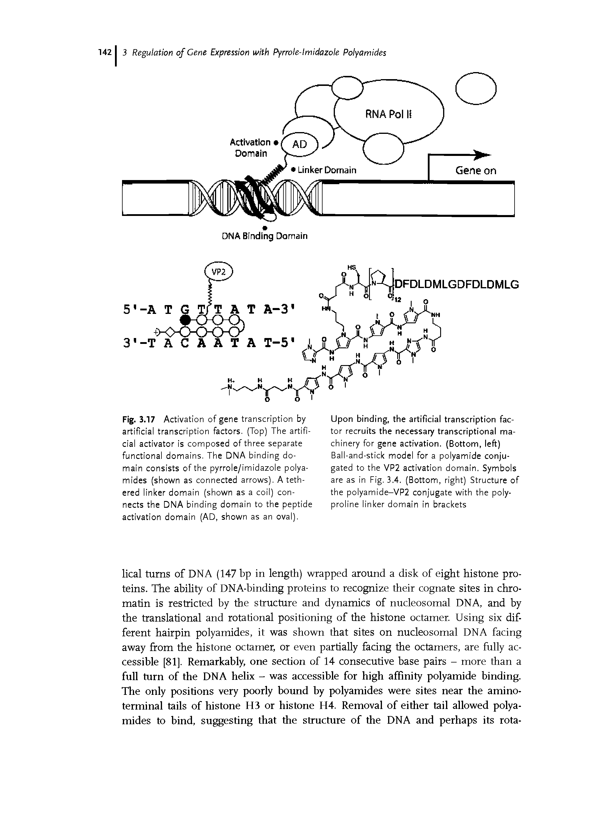 Fig. 3.17 Activation of gene transcription by artificial transcription factors. (Top) The artificial activator is composed of three separate functional domains. The DNA binding domain consists of the pyrrole/imidazole polyamides (shown as connected arrows). A tethered linker domain (shown as a coil) connects the DNA binding domain to the peptide activation domain (AD, shown as an oval).