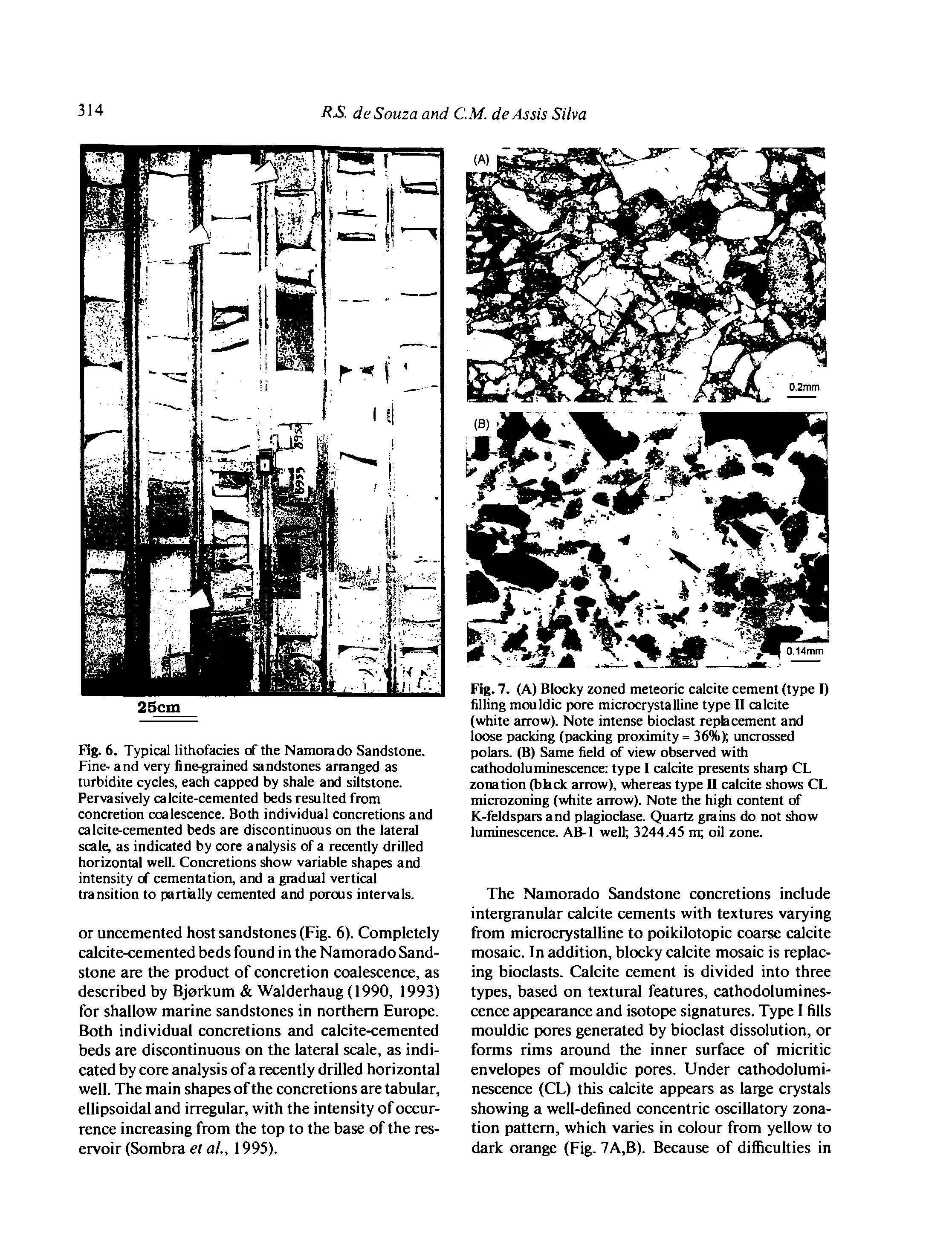 Fig. 6. Typical lithofacies of the Namorado Sandstone. Fine- and very fine.grained sandstones arranged as turbidite cycles, each capped by shale and siltstone. Pervasively calcite-cemented beds resulted from concretion coalescence. Both individual concretions and calcite-cemented beds are discontinuous on the lateral scale as indicated by core analysis of a recently drilled horizontal well. Concretions show variable shapes and intensity of cementation, and a gradual vertical transition to partially cemented and porous intervals.