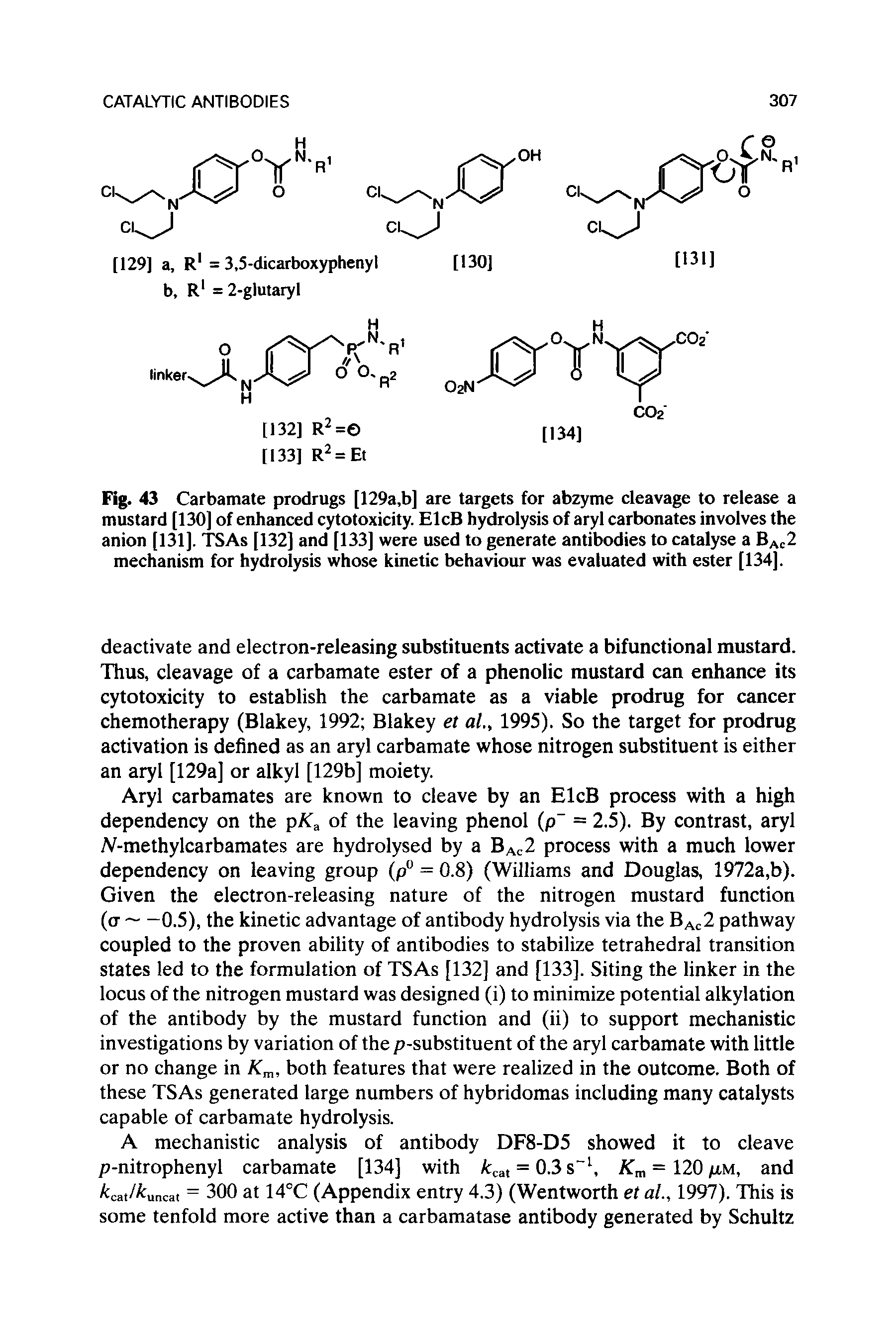 Fig. 43 Carbamate prodrugs [129a,b] are targets for abzyme cleavage to release a mustard [130] of enhanced cytotoxicity. ElcB hydrolysis of aryl carbonates involves the anion [131]. TSAs [132] and [133] were used to generate antibodies to catalyse a BAc2 mechanism for hydrolysis whose kinetic behaviour was evaluated with ester [134].