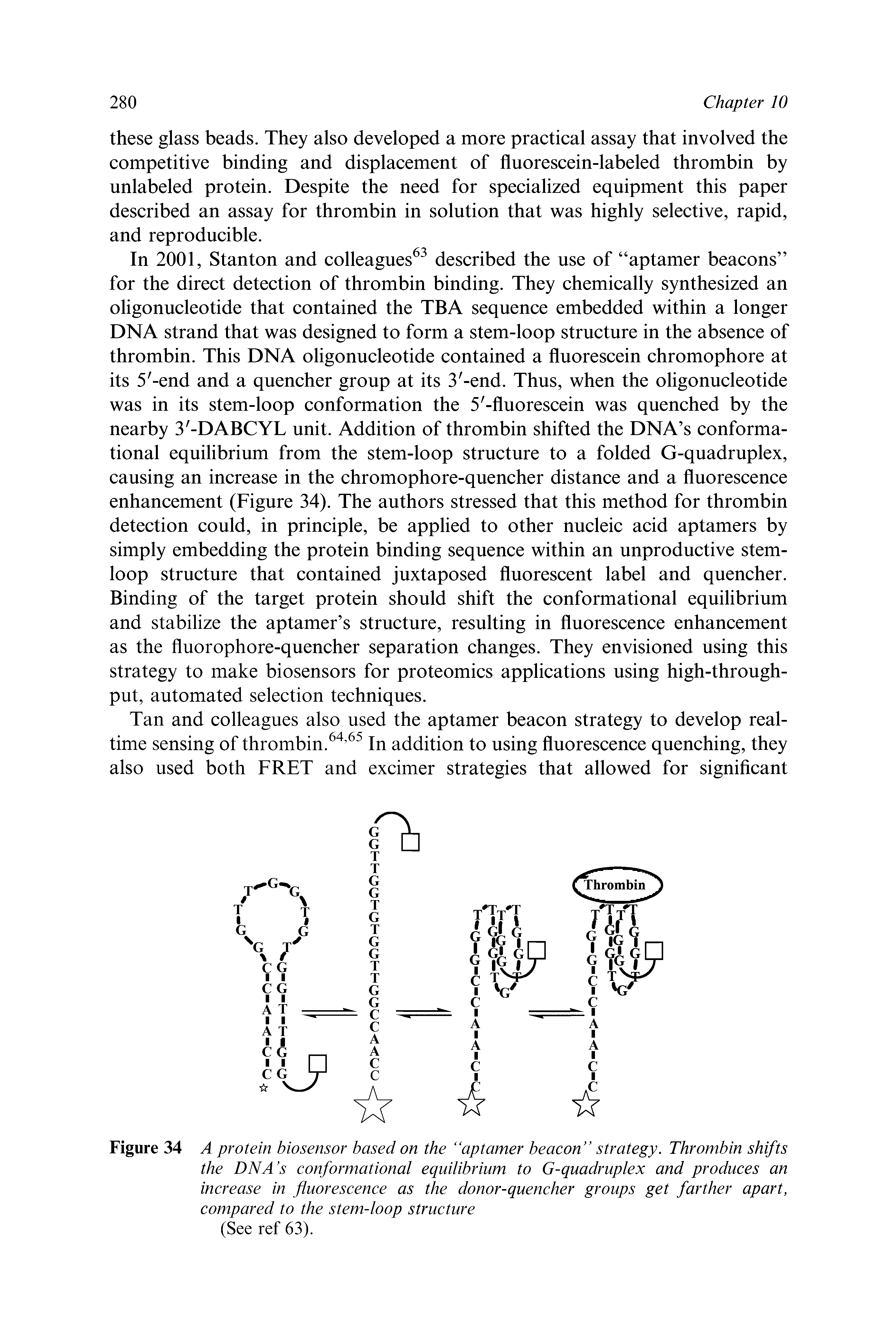 Figure 34 A protein biosensor based on the aptamer beacon strategy. Thrombin shifts the DNA s conformational equilibrium to G-quadruplex and produces an increase in fluorescence as the donor-quencher groups get farther apart, compared to the stem-loop structure (See ref 63).