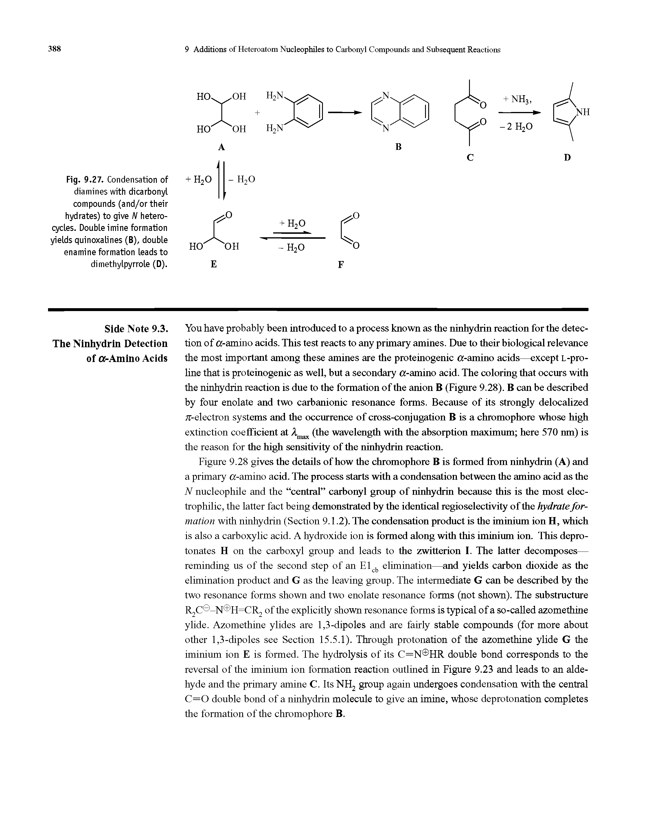 Fig. 9.27. Condensation of diamines with dicarbonyl compounds (and/or their hydrates) to give N heterocycles. Double imine formation yields quinoxalines (B), double enamine formation leads to dimethylpyrrole (D).