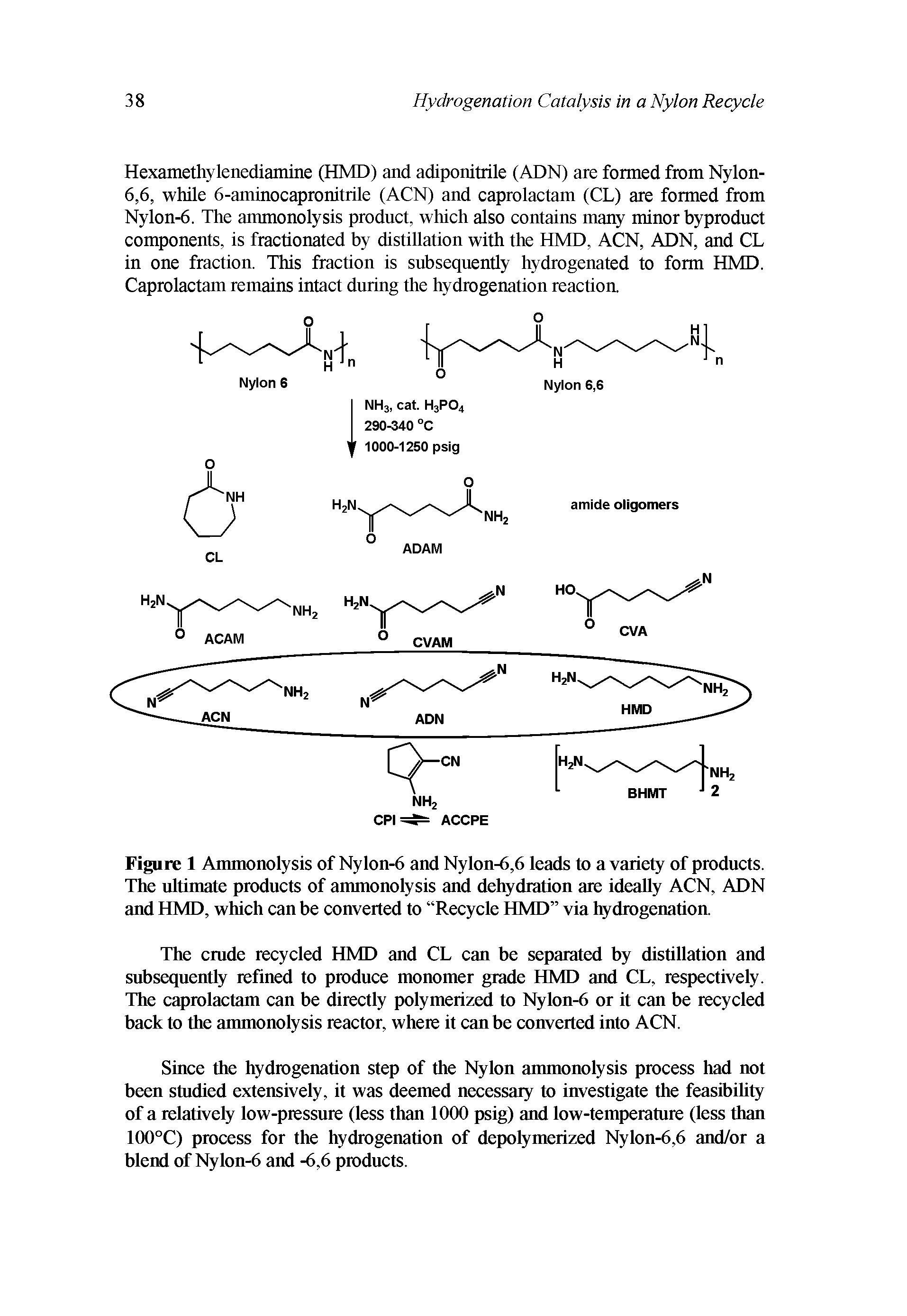 Figure 1 Ammonolysis of Nylon-6 and Nylon-6,6 leads to a variety of products. The ultimate products of ammonolysis and dehydration are ideally ACN, ADN and HMD, which can be converted to Recycle HMD via hydrogenation.