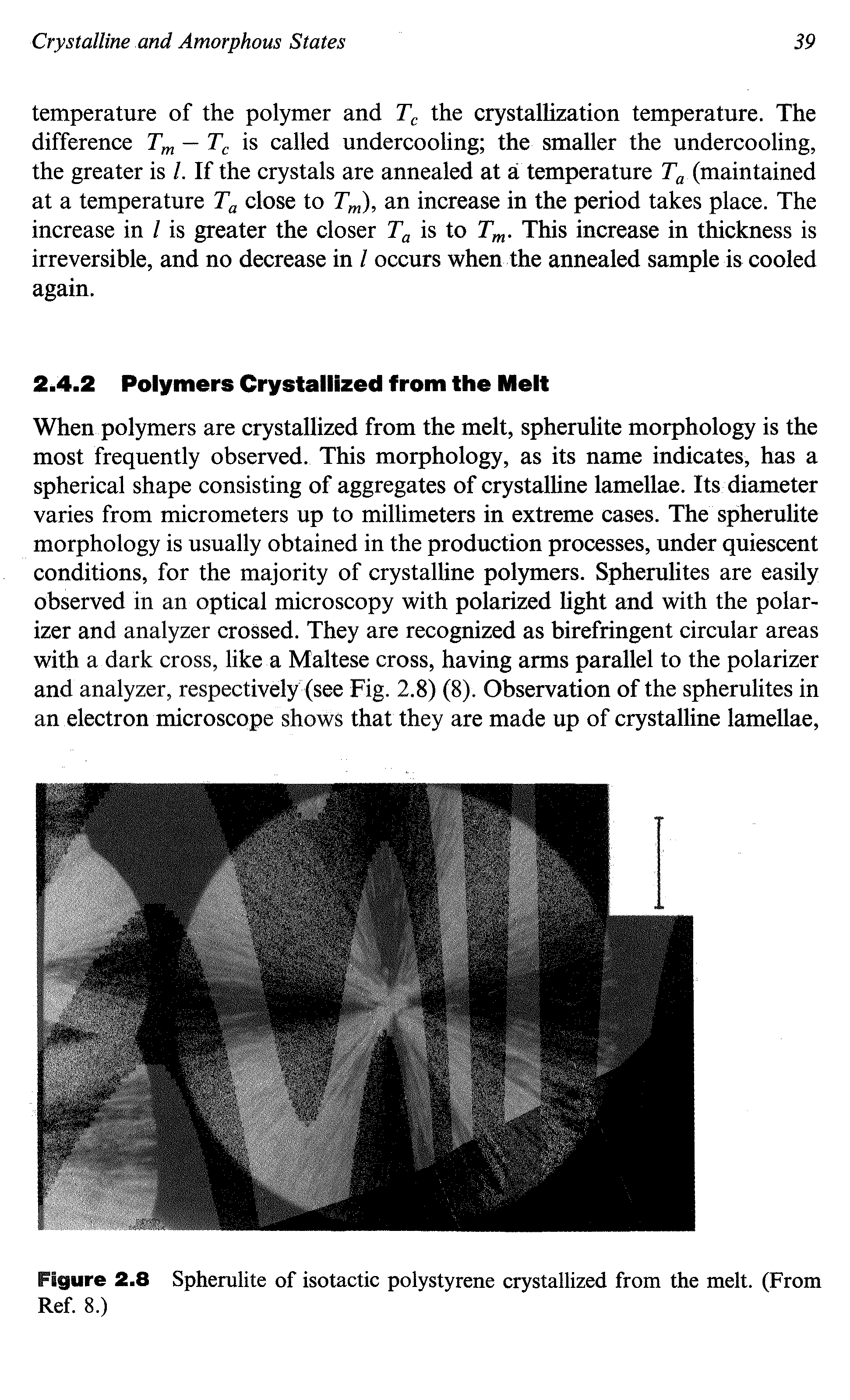 Figure 2.8 Spherulite of isotactic polystyrene crystallized from the melt. (From Ref. 8.)...
