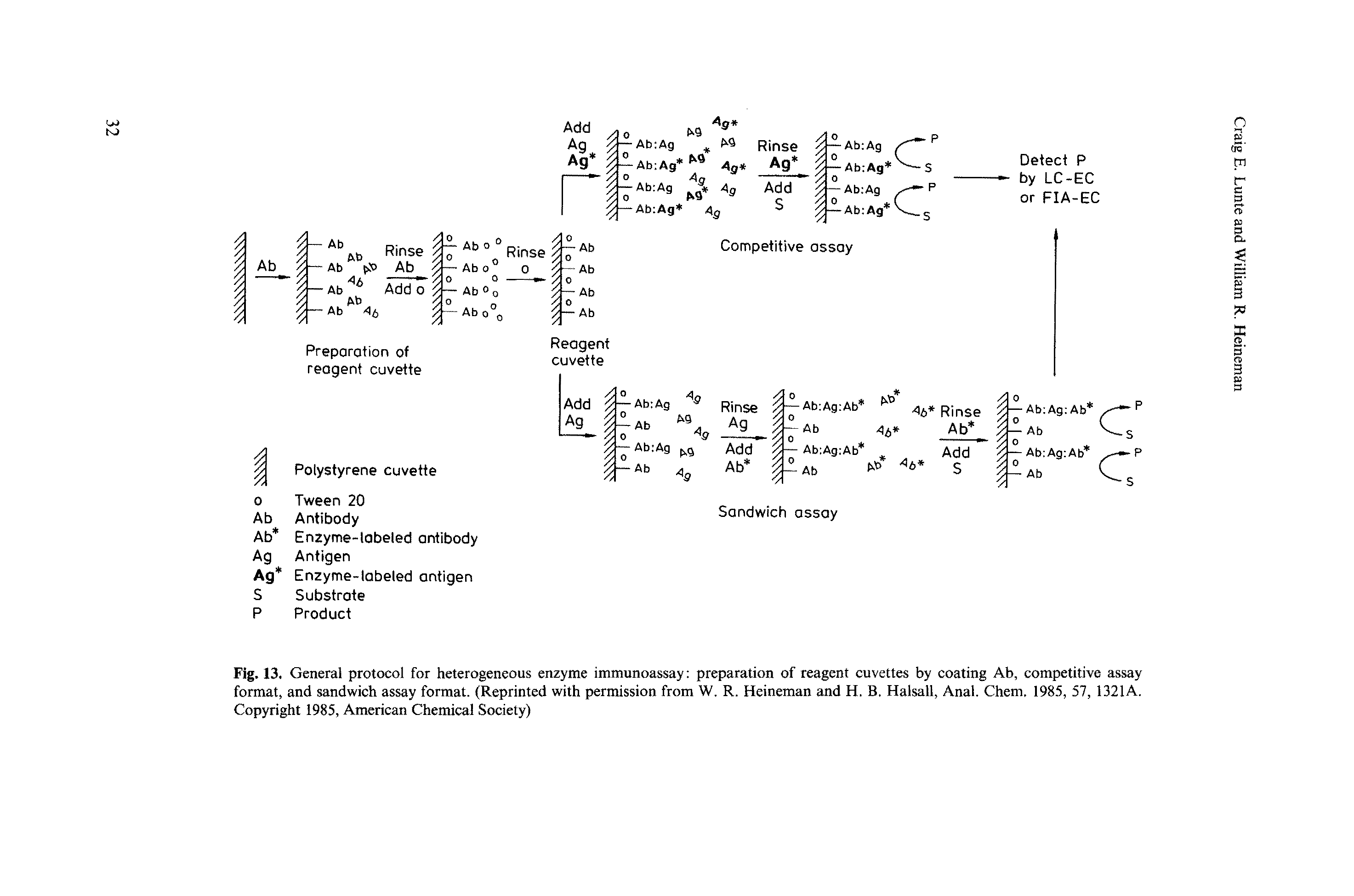 Fig. 13. General protocol for heterogeneous enzyme immunoassay preparation of reagent cuvettes by coating Ab, competitive assay format, and sandwich assay format. (Reprinted with permission from W. R. Heineman and H. B. Halsall, Anal. Chem, 1985, 57, 1321A. Copyright 1985, American Chemical Society)...