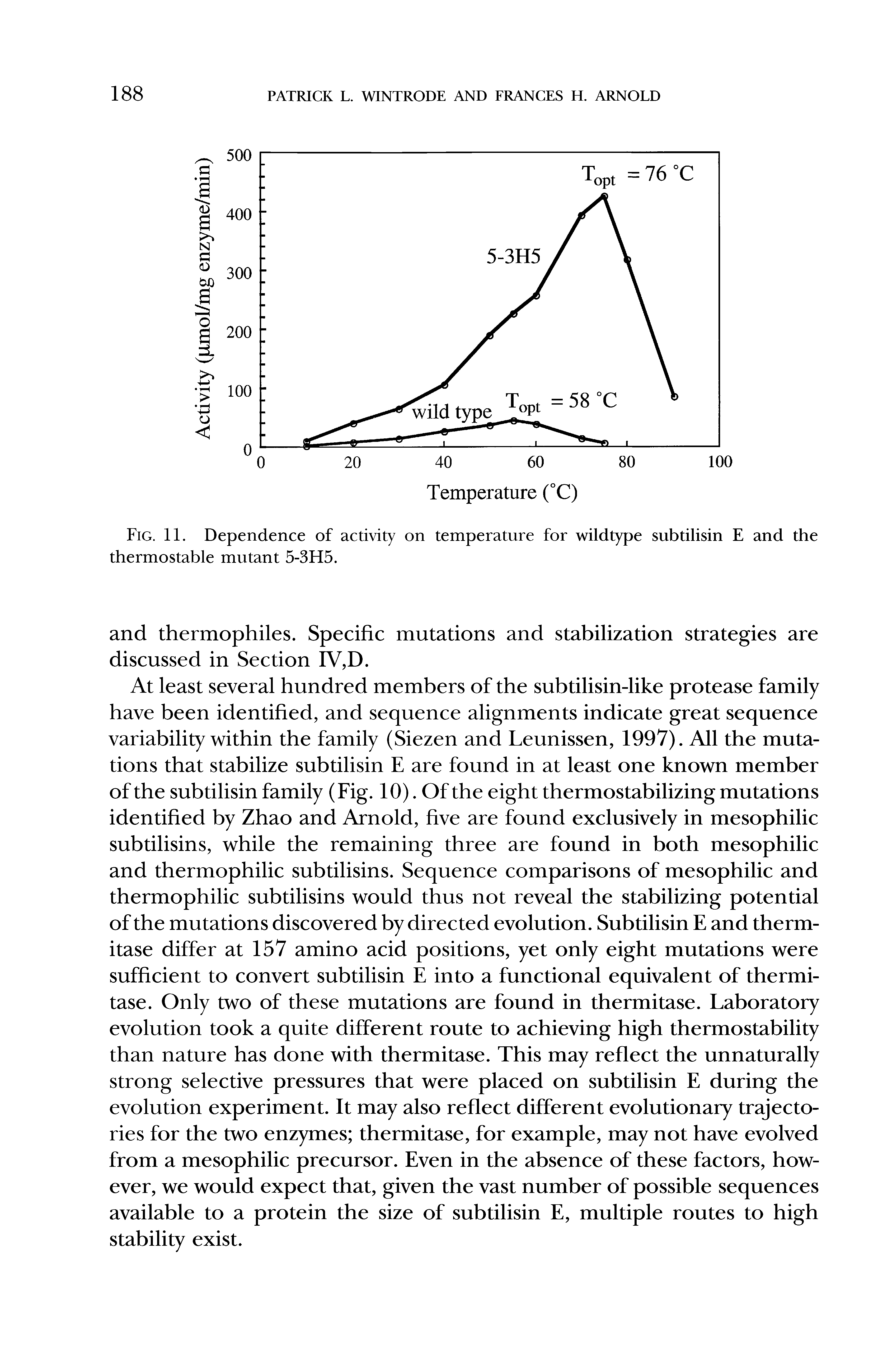 Fig. 11. Dependence of activity on temperature for wildtype subtilisin E and the thermostable mutant 5-3H5.