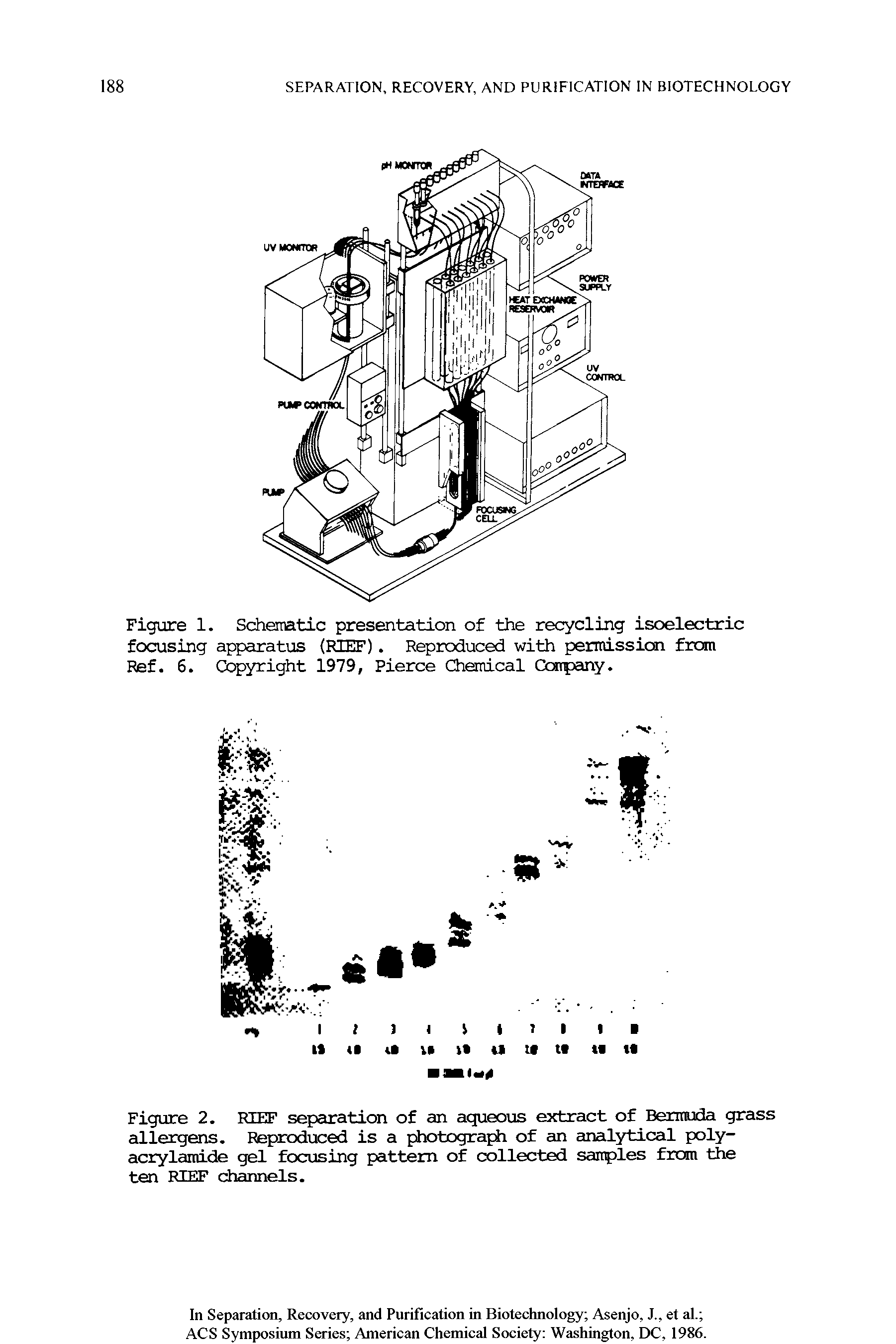 Figure 1. Schematic presentation of the recycling isoelectric focusing apparatus (RIEF). Reproduced with permission from Ref. 6. Copyright 1979, Pierce Chemical Company.