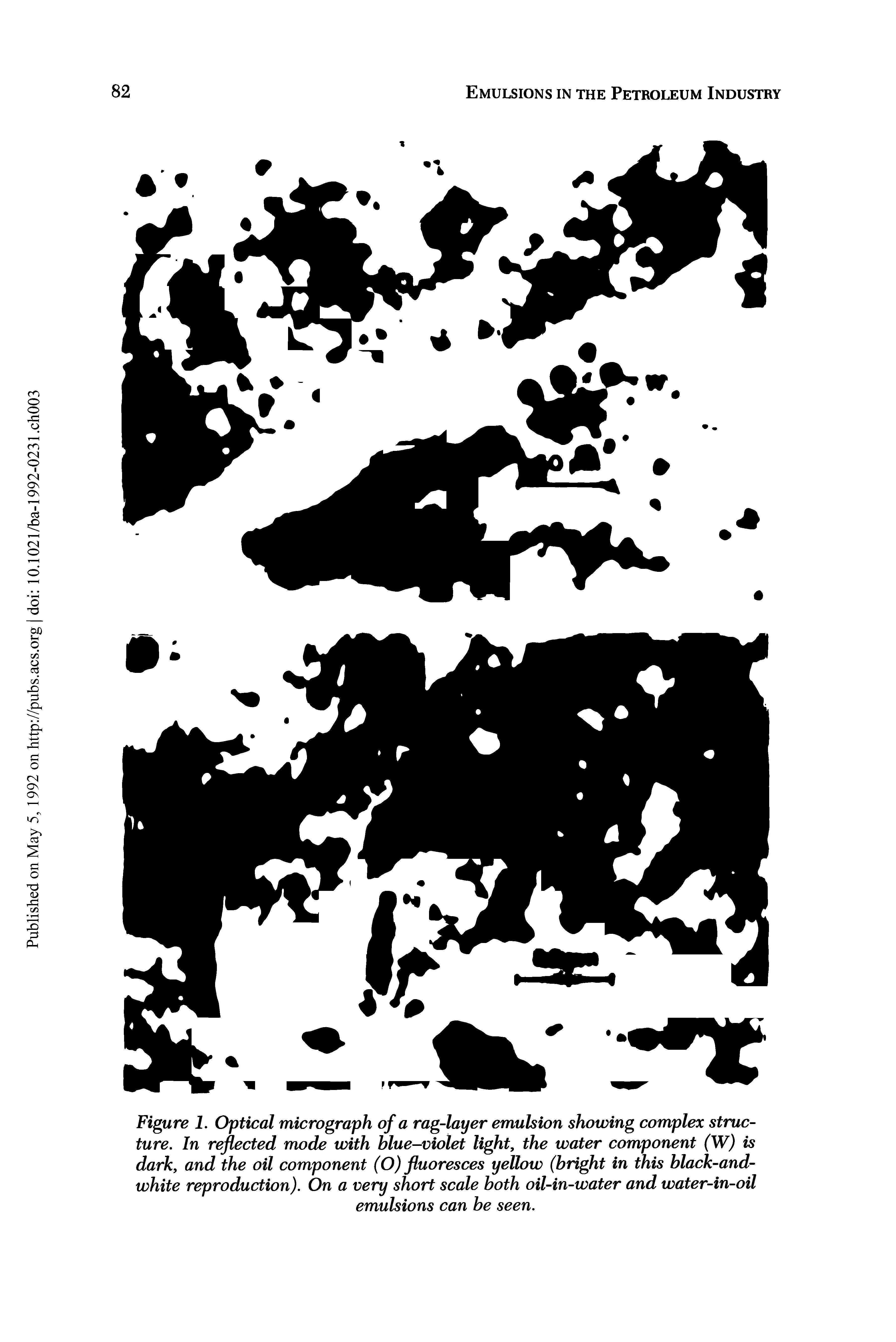 Figure 1. Optical micrograph of a rag-layer emulsion showing complex structure. In reflected mode with blue-violet light, the water component (W) is dark, and the oil component (O) fluoresces yellow (bright in this black-and-white reproduction). On a very short scale both oil-in-water and water-in-oil emulsions can be seen.