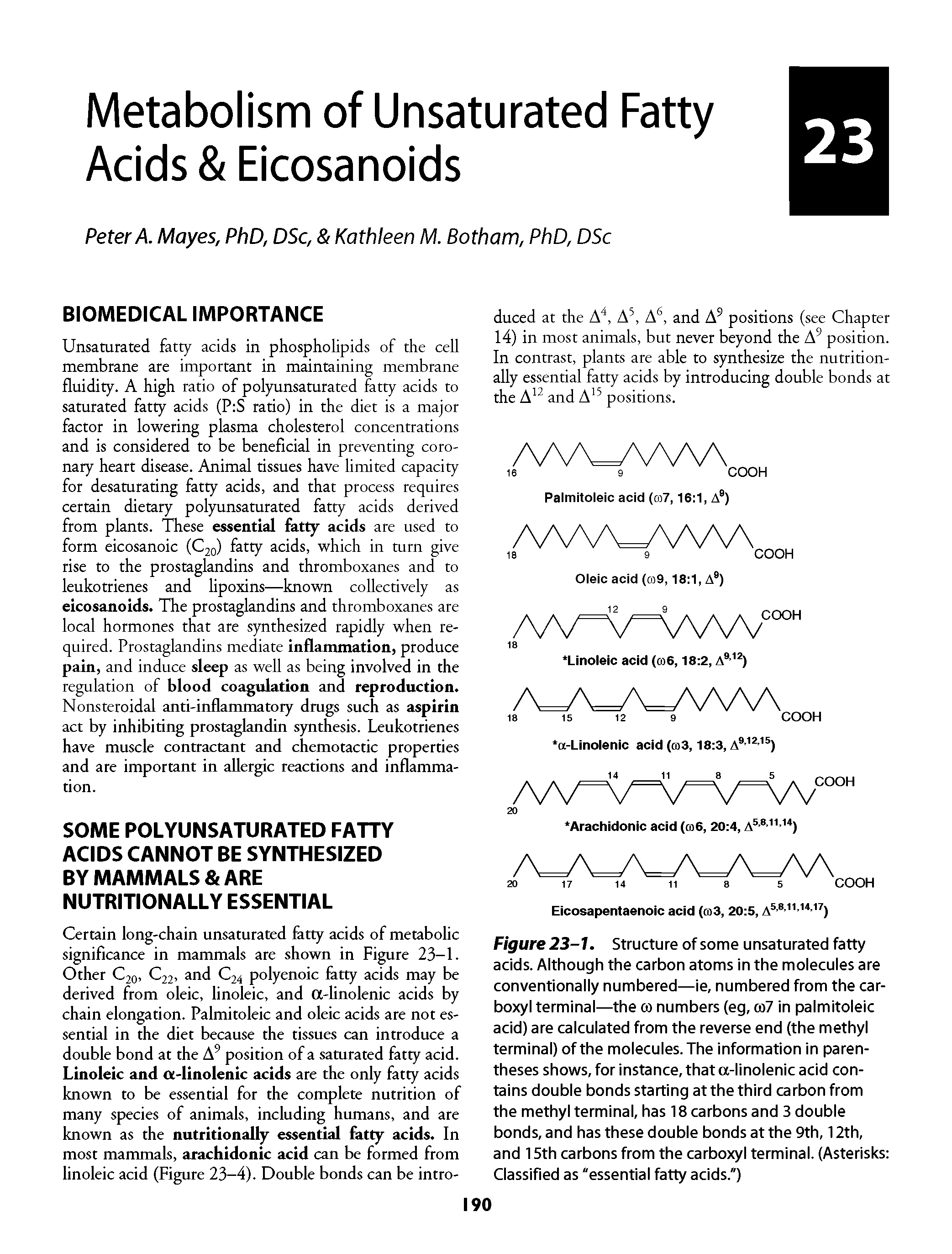 Figure 23-1. Structure of some unsaturated fatty acids. Although the carbon atoms in the molecules are conventionally numbered—ie, numbered from the carboxyl terminal—the co numbers (eg, co7 in palmitoleic acid) are calculated from the reverse end (the methyl terminal) of the molecules. The information in parentheses shows, for instance, that a-linolenic acid contains double bonds starting at the third carbon from the methyl terminal, has 18 carbons and 3 double bonds, and has these double bonds at the 9th, 12th, and 15th carbons from the carboxyl terminal. (Asterisks Classified as "essential fatty acids.")...