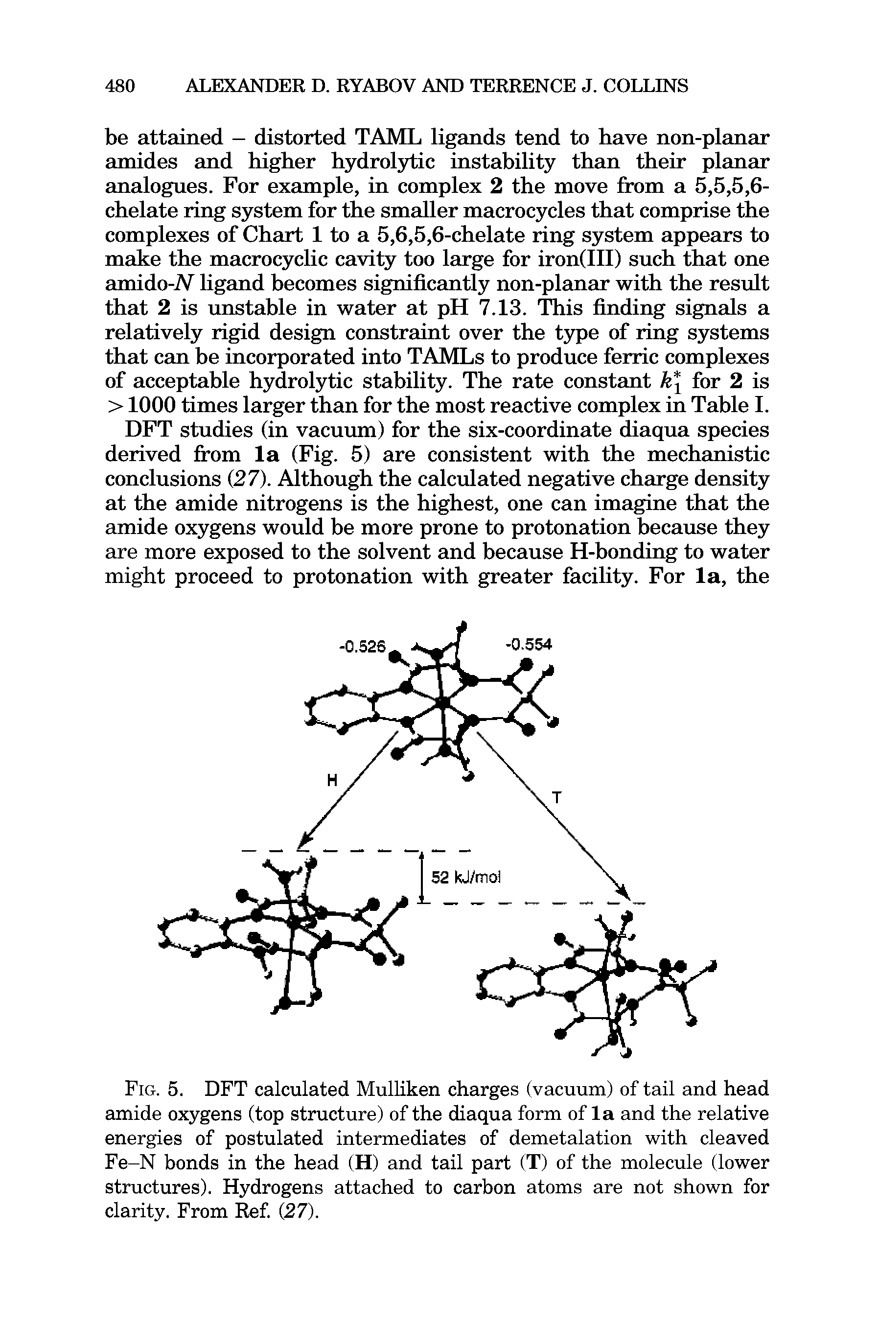 Fig. 5. DFT calculated Mulliken charges (vacuum) of tail and head amide oxygens (top structure) of the diaqua form of la and the relative energies of postulated intermediates of demetalation with cleaved Fe-N bonds in the head (H) and tail part (T) of the molecule (lower structures). Hydrogens attached to carbon atoms are not shown for clarity. From Ref. (27).