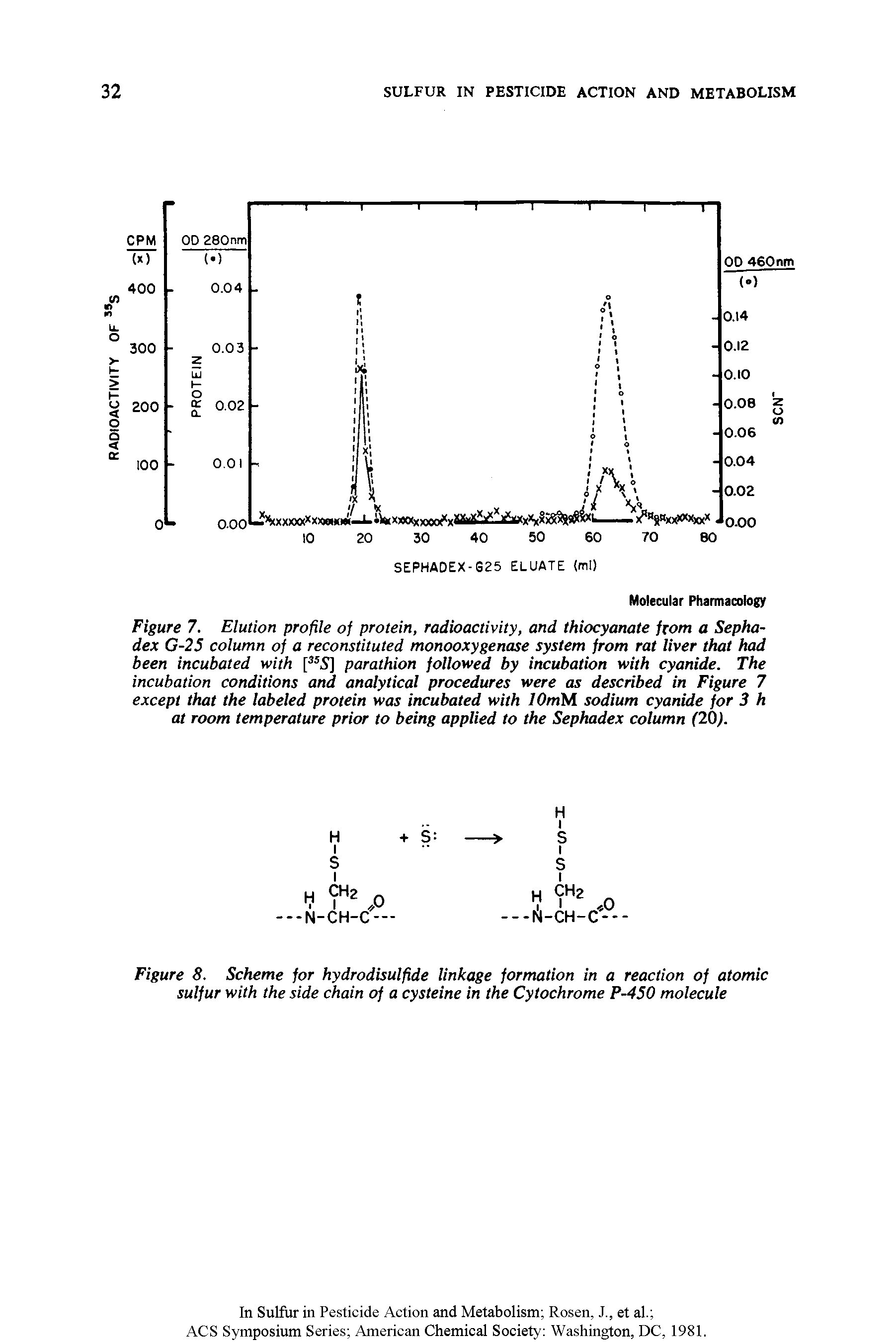 Figure 7. Elution profile of protein, radioactivity, and thiocyanate from a Sepha-dex G-25 column of a reconstituted monooxygenase system from rat liver that had been incubated with [ 5] parathion followed by incubation with cyanide. The incubation conditions and analytical procedures were as described in Figure 7 except that the labeled protein was incubated with lOmM sodium cyanide for 3 h at room temperature prior to being applied to the Sephadex column (20).