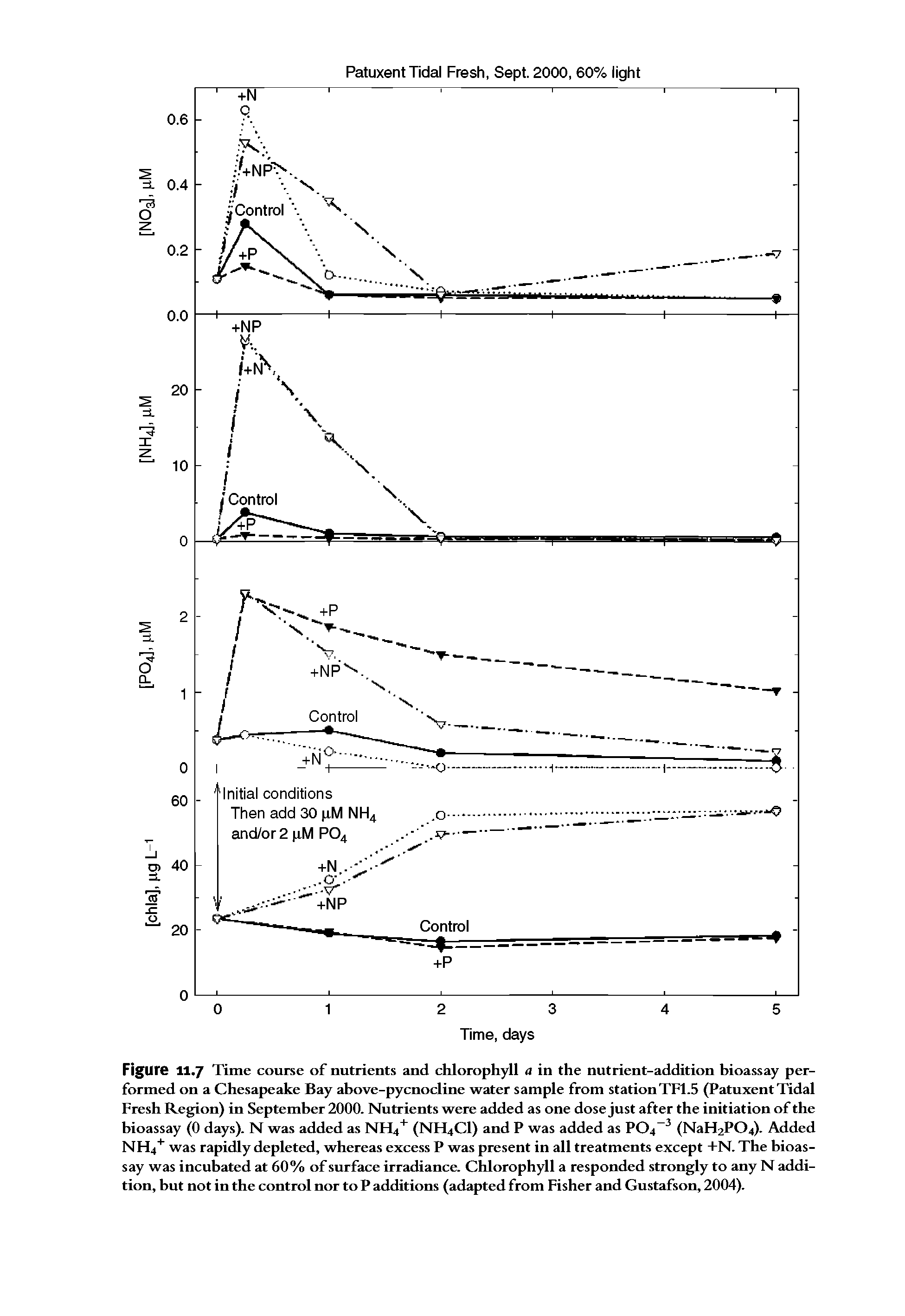 Figure 11.7 Time course of nutrients and chlorophyll a in the nutrient-addition hioassay performed on a Chesapeake Bay ahove-pycnocline water sample from stationTF1.5 (Patuxent Tidal Fresh Region) in September 2000. Nutrients were added as one dose just after the initiation of the hioassay (0 days). N was added as NFI4 (NFI4CI) and P was added as P04 (NaH2P04). Added NH4 was rapidly depleted, whereas excess P was present in all treatments except +N. The hioassay was incubated at 60% of surface irradiance. Chlorophyll a responded strongly to any N addition, but not in the control nor to P additions (adapted from Fisher and Gustafson, 2004).