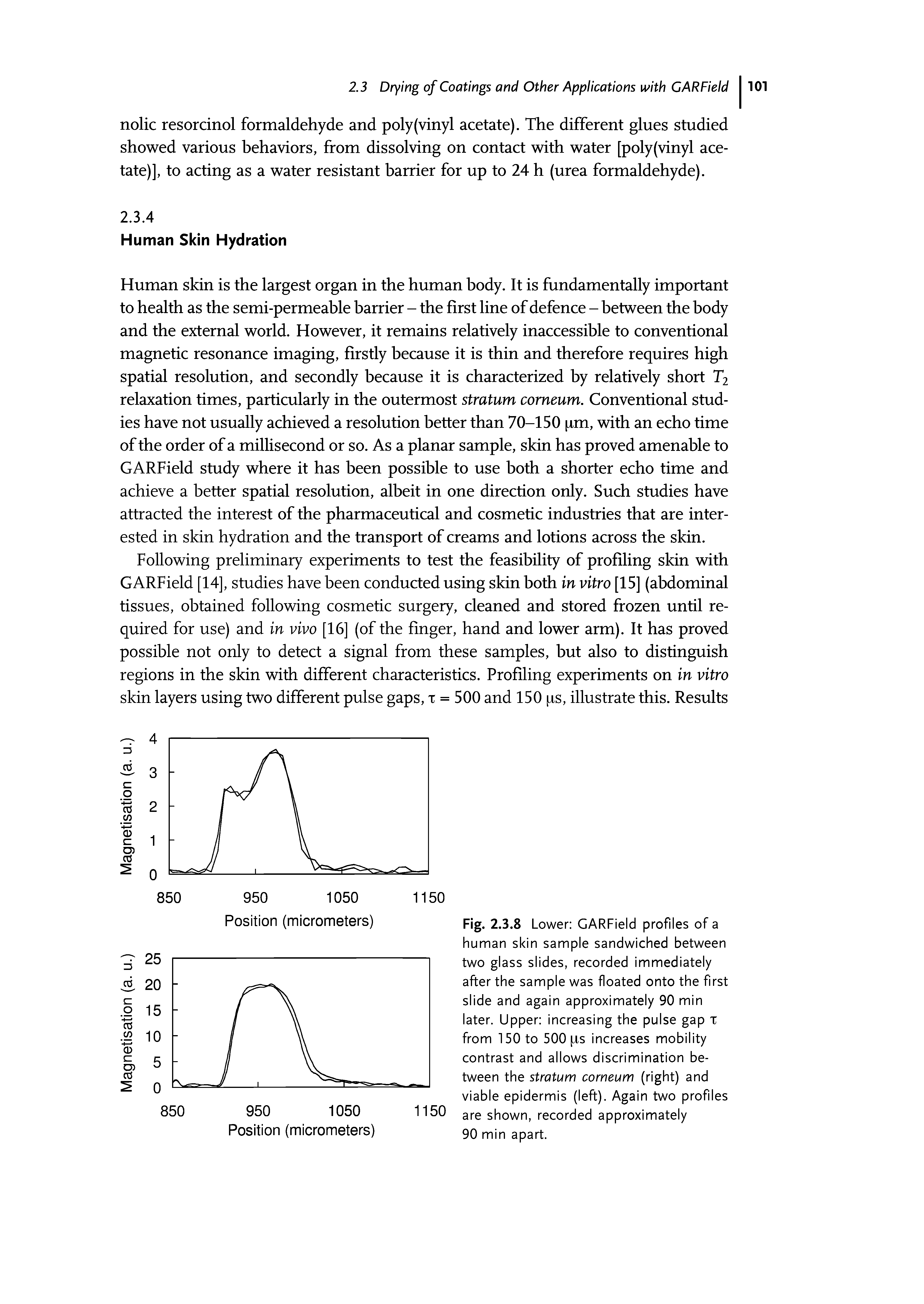 Fig. 2.3.8 Lower GARField profiles of a human skin sample sandwiched between two glass slides, recorded immediately after the sample was floated onto the first slide and again approximately 90 min later. Upper increasing the pulse gap T from 150 to 500 ps increases mobility contrast and allows discrimination between the stratum comeum (right) and viable epidermis (left). Again two profiles are shown, recorded approximately 90 min apart.