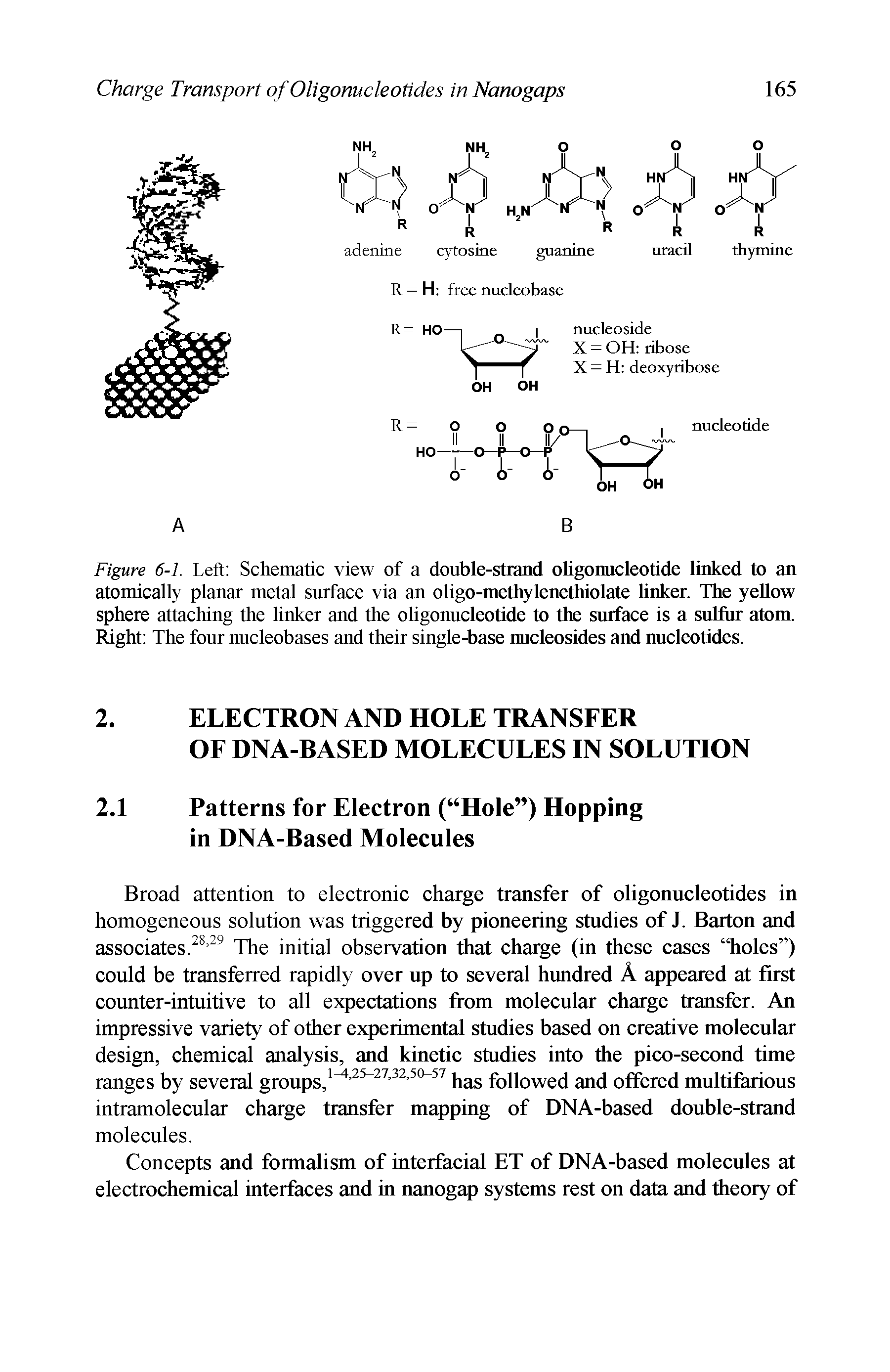 Figure 6-1. Left Schematic view of a double-strand oligonucleotide linked to an atomically planar metal surface via an oligo-methylenetluolate linker. The yellow sphere attaching the linker and the oligonucleotide to the surface is a sulfur atom. Right The four nucleobases and their single-base nucleosides and nucleotides.