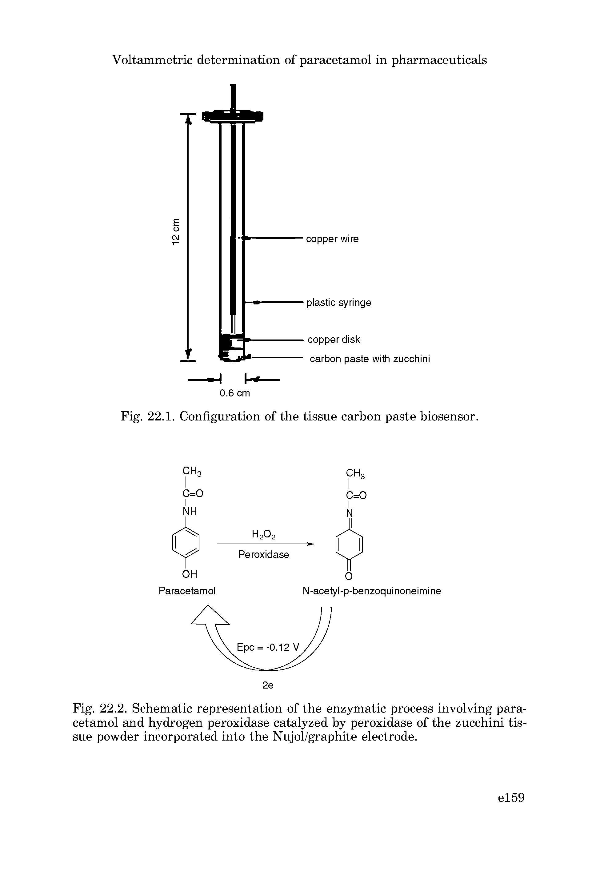 Fig. 22.2. Schematic representation of the enzymatic process involving paracetamol and hydrogen peroxidase catalyzed by peroxidase of the zucchini tissue powder incorporated into the Nujol/graphite electrode.