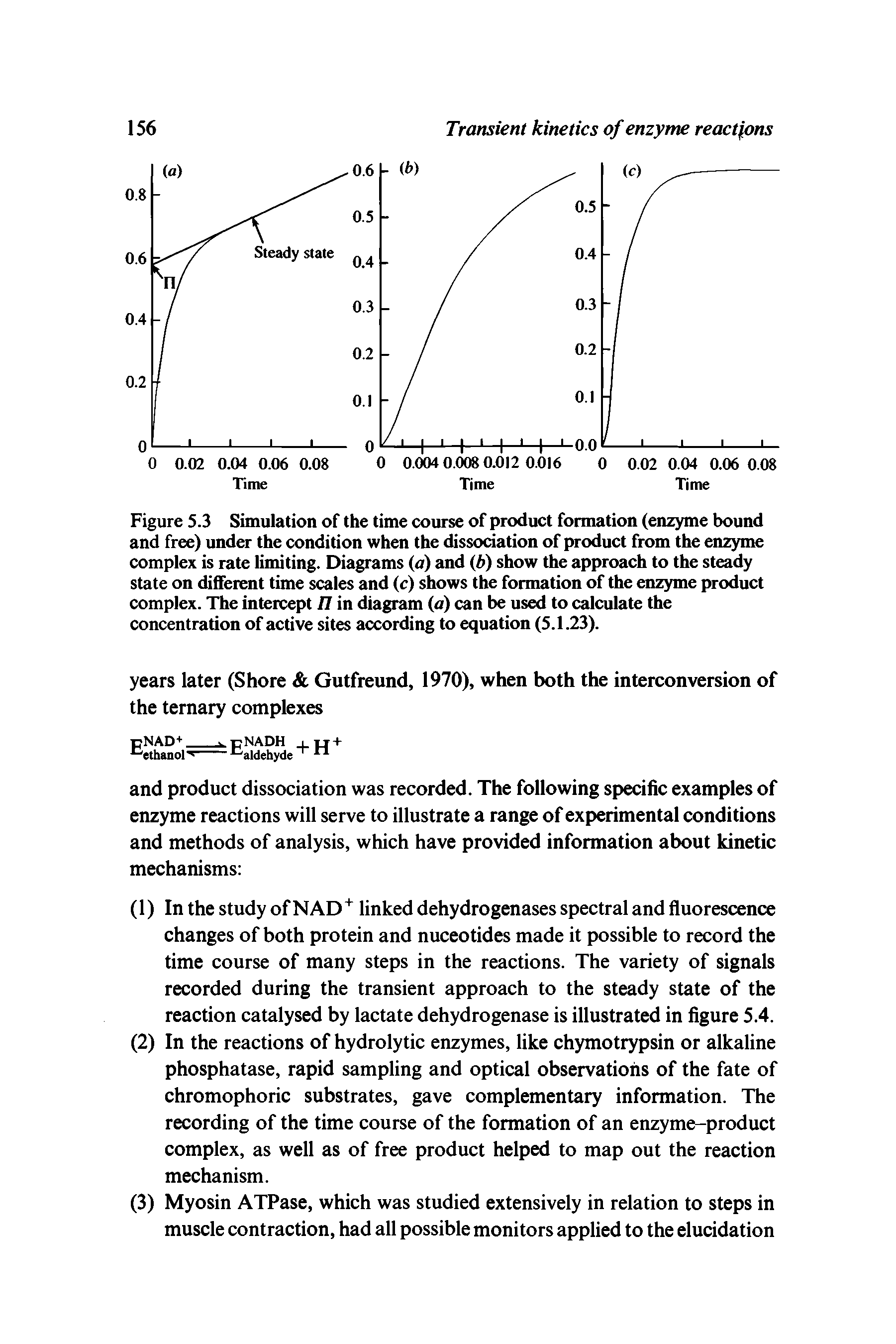 Figure 5.3 Simulation of the time course of product formation (enzyme bound and free) under the condition when the dissociation of product from the enzyme complex is rate limiting. Diagrams (a) and (b) show the approach to the steady state on different time scales and (c) shows the formation of the enzyme product complex. The intercept 77 in diagram (a) can be used to calculate the concentration of active sites according to equation (5.1.23).