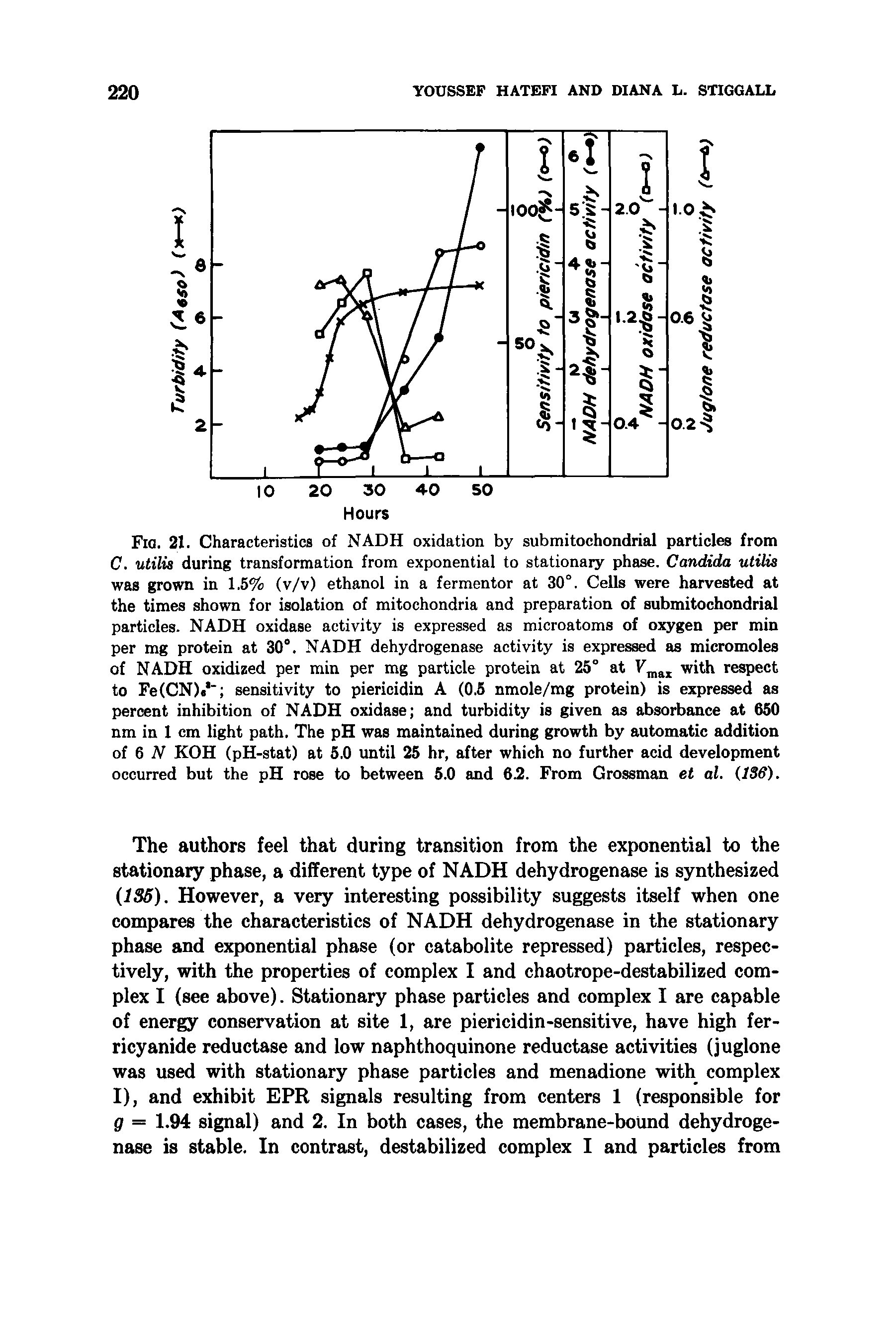 Fig. 21. Characteristics of NADH oxidation by submitochondrial particles from C. utilis during transformation from exponential to stationary phase. Candida utilis was grown in 1.5% (v/v) ethanol in a fermentor at 30°. Cells were harvested at the times shown for isolation of mitochondria and preparation of submitochondrial particles. NADH oxidase activity is expres.sed as microatoms of oxygen per min per mg protein at 30°. NADH dehydrogenase activity is expressed as micromoles of NADH oxidized per min per mg particle protein at 25° at with respect to Fe(CN). " sensitivity to piericidin A (0.5 nmole/mg protein) is expressed as percent inhibition of NADH oxidase and turbidity is given as absorbance at 650 nm in 1 cm light path. The pH was maintained during growth by automatic addition of 6 N KOH (pH-stat) at 5.0 until 25 hr, after which no further acid development occurred but the pH rose to between 5.0 and 62. From Grossman et al. (ISS).
