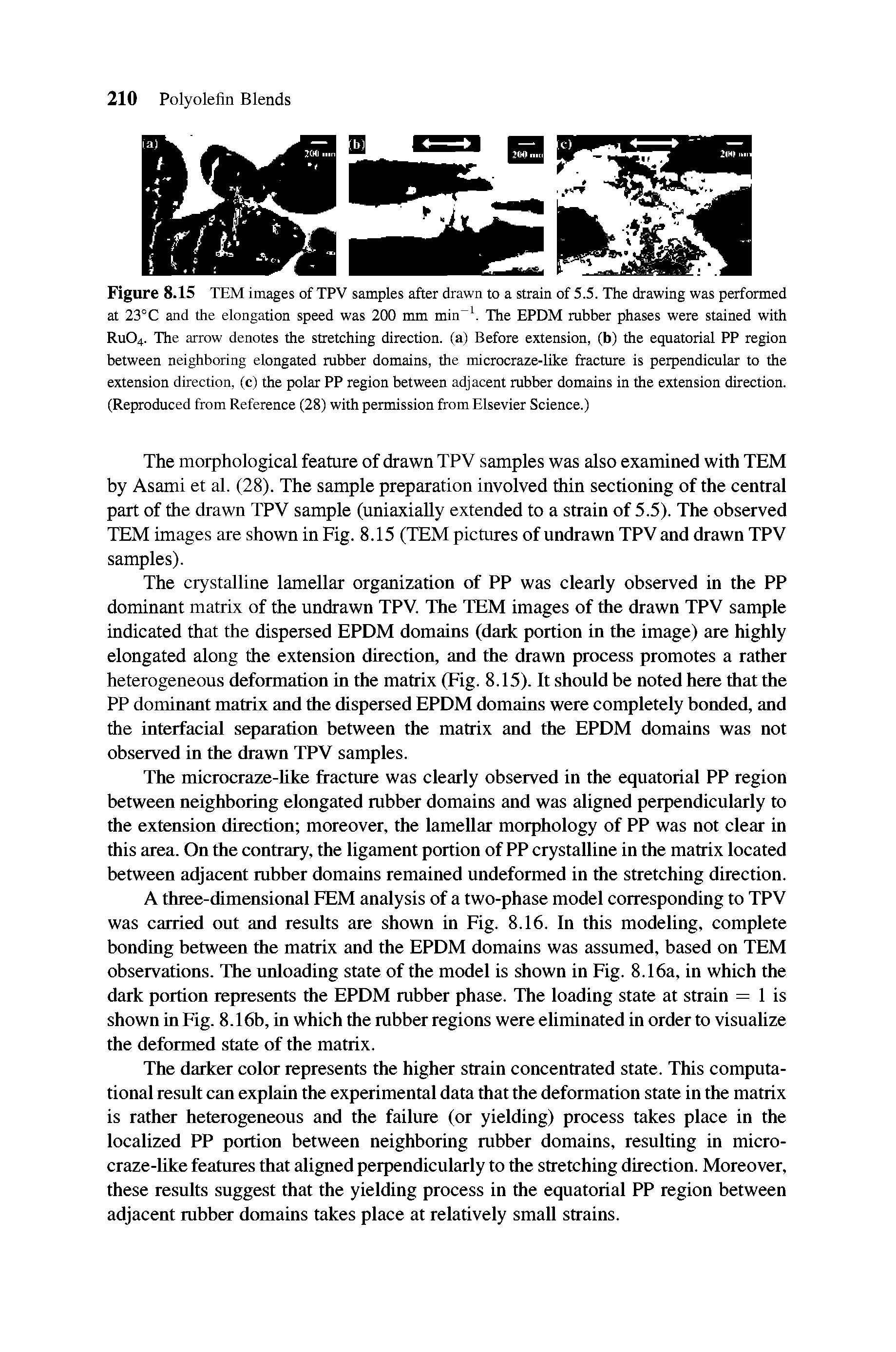 Figure 8.15 TEM images of TPV samples after drawn to a strain of 5.5. The drawing was performed at 23°C and the elongation speed was 200 mm min The EPDM rubber phases were stained with RUO4. The arrow denotes the stretching direction, (a) Before extension, (b) the equatorial PP region between neighboring elongated rubber domains, the microcraze-like fracture is perpendicular to the extension direction, (c) the polar PP region between adjacent rubber domains in the extension direction. (Reproduced from Reference (28) with permission from Elsevier Science.)...