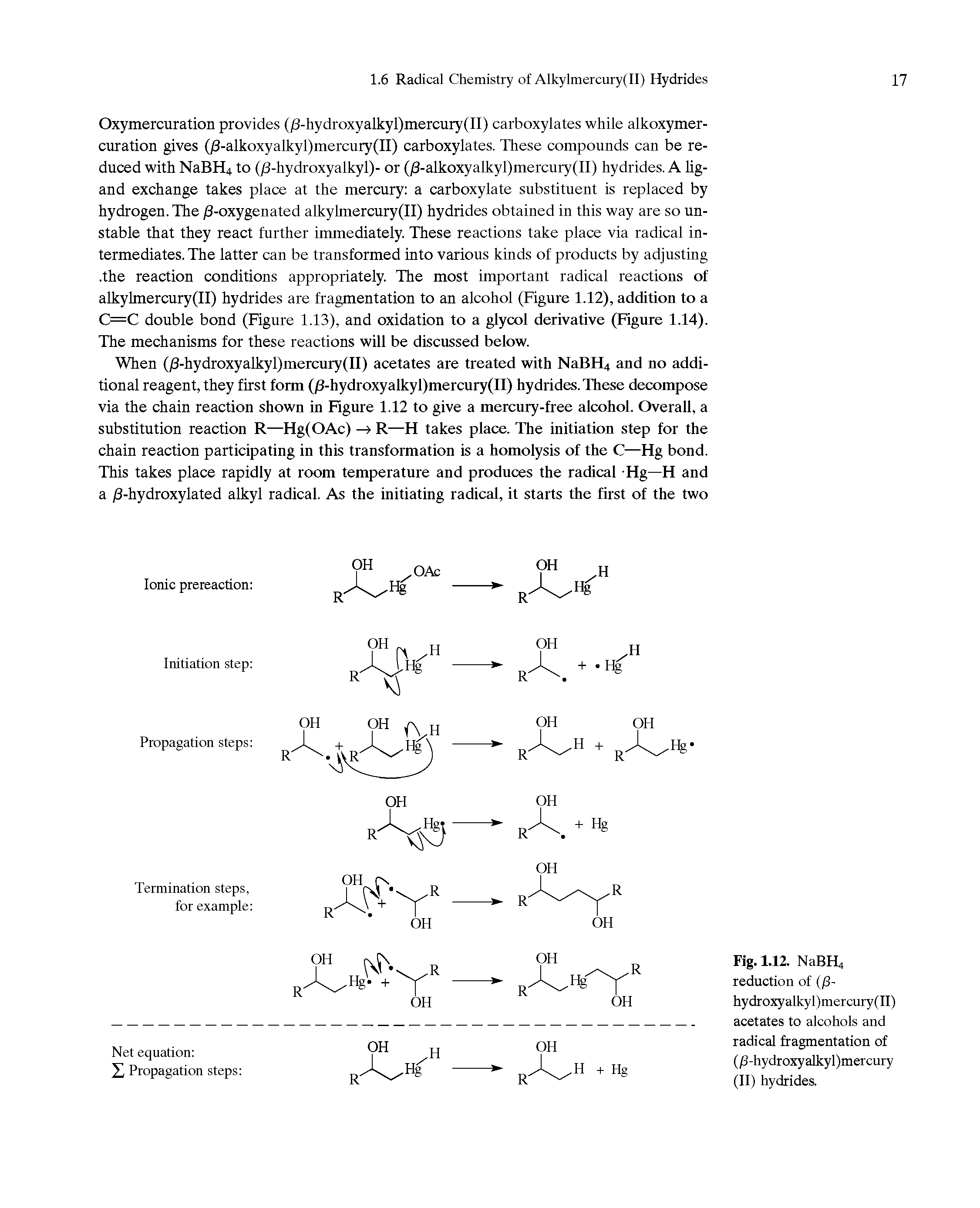 Fig. 1.12. NaBH4 reduction of (/3-hydroxyalkyl)mercury(II) acetates to alcohols and radical fragmentation of (j3-hydroxyalkyl)mercury (II) hydrides.