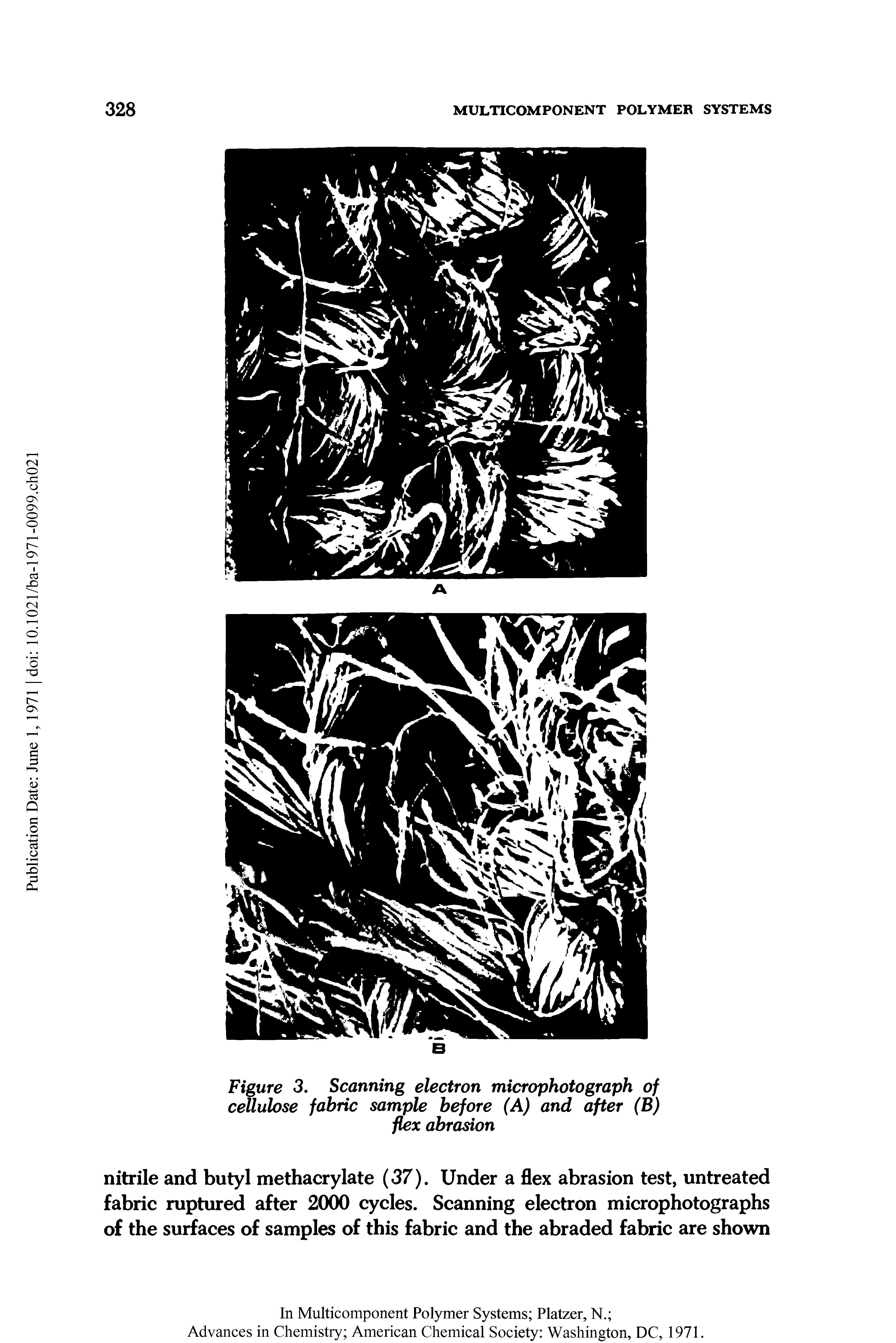 Figure 3. Scanning electron microphotograph of cellulose fabric sample before (A) and after (B) flex abrasion...