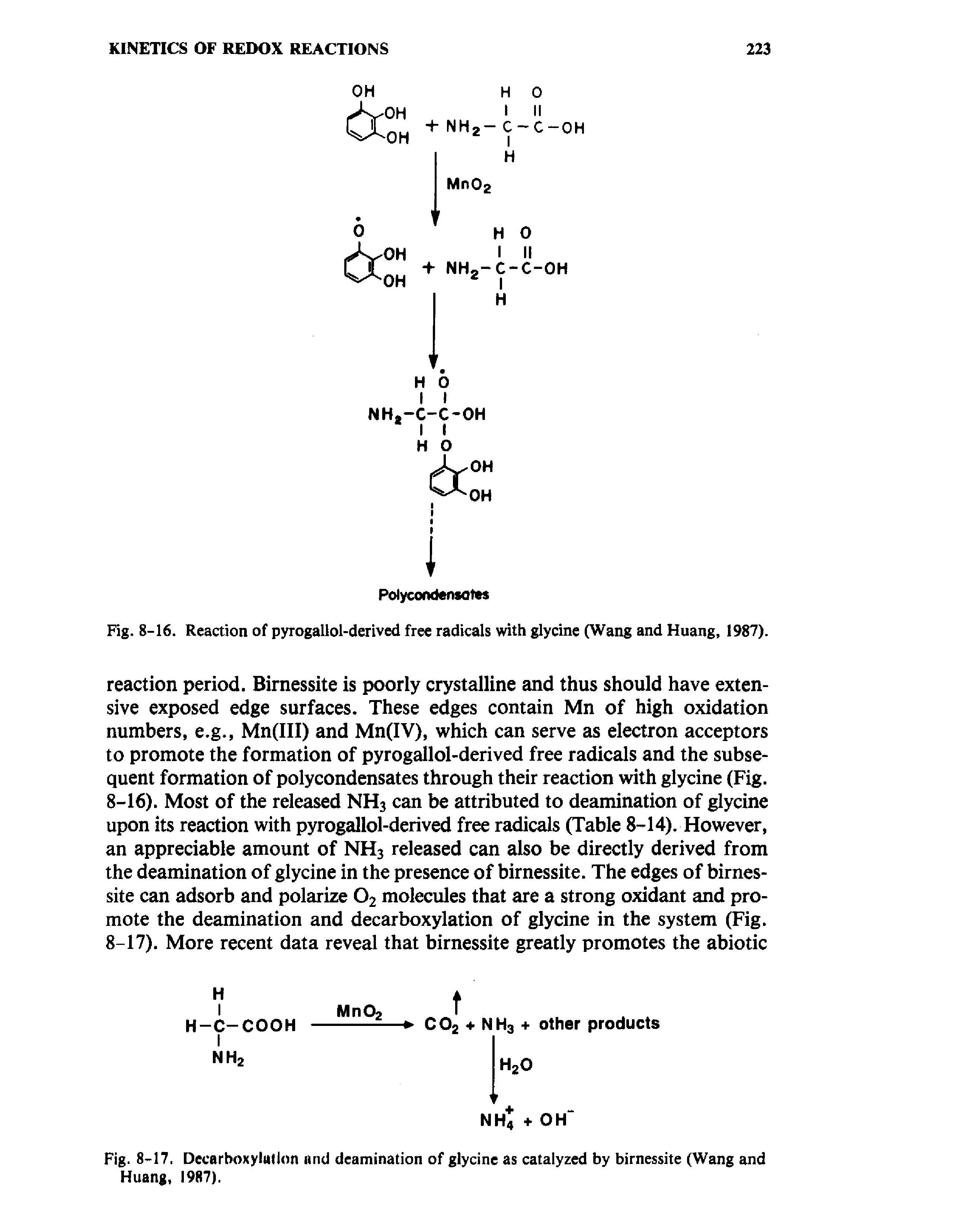 Fig. 8-16. Reaction of pyrogallol-derived free radicals with glycine (Wang and Huang, 1987).