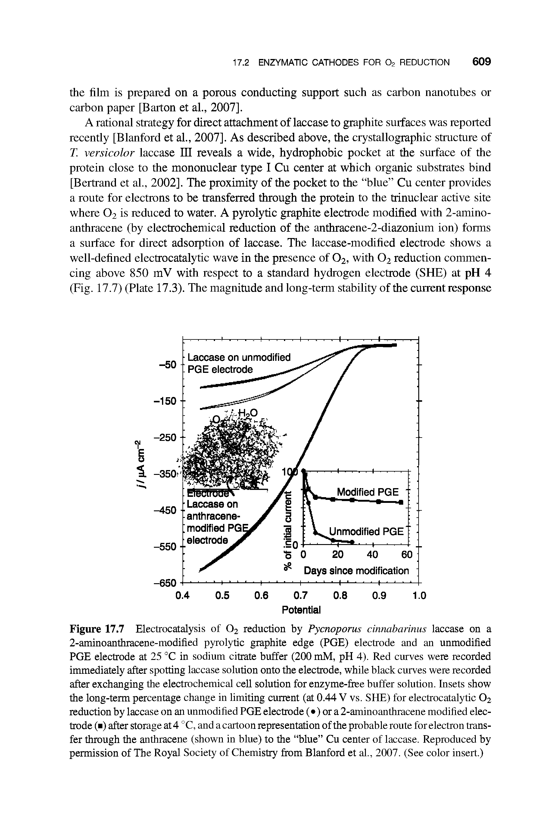 Figure 17.7 Electrocatalysis of O2 reduction by Pycnoporus cinnabarinus laccase on a 2-aminoanthracene-modified pyrolytic graphite edge (PGE) electrode and an unmodified PGE electrode at 25 °C in sodium citrate buffer (200 mM, pH 4). Red curves were recorded immediately after spotting laccase solution onto the electrode, while black curves were recorded after exchanging the electrochemical cell solution for enzyme-fiiee buffer solution. Insets show the long-term percentage change in limiting current (at 0.44 V vs. SHE) for electrocatalytic O2 reduction by laccase on an unmodified PGE electrode ( ) or a 2-aminoanthracene modified electrode ( ) after storage at 4 °C, and a cartoon representation of the probable route for electron transfer through the anthracene (shown in blue) to the blue Cu center of laccase. Reproduced by permission of The Royal Society of Chemistry fi om Blanford et al., 2007. (See color insert.)...