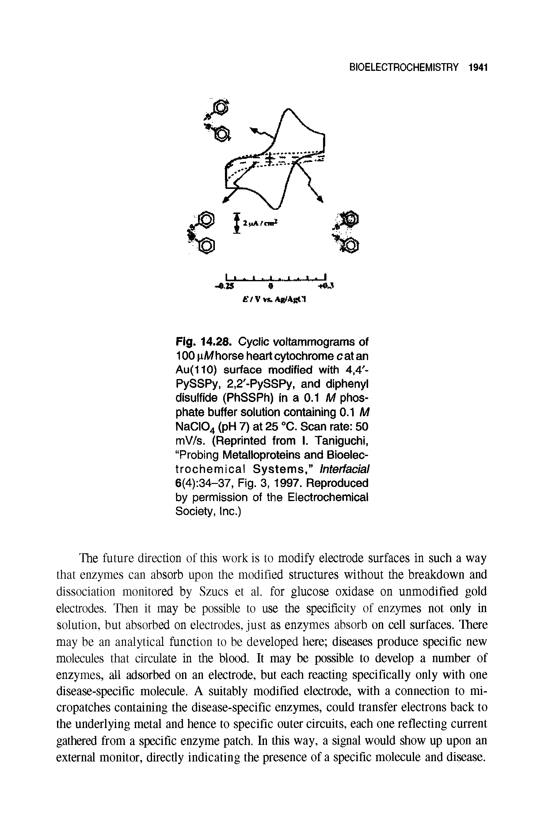 Fig. 14.28. Cyclic voltammograms of 100 n/W horse heart cytochrome cat an Au(110) surface modified with 4,4 -PySSPy, 2,2 -PySSPy, and diphenyl disulfide (PhSSPh) in a 0.1 M phosphate buffer solution containing 0.1 M NaCI04 (pH 7) at 25 °C. Scan rate 50 mV/s. (Reprinted from I. Taniguchi, Probing Metalloproteins and Bioelec-trochemical Systems, Interfacial 6(4) 34-37, Fig. 3, 1997. Reproduced by permission of the Electrochemical Society, Inc.)...