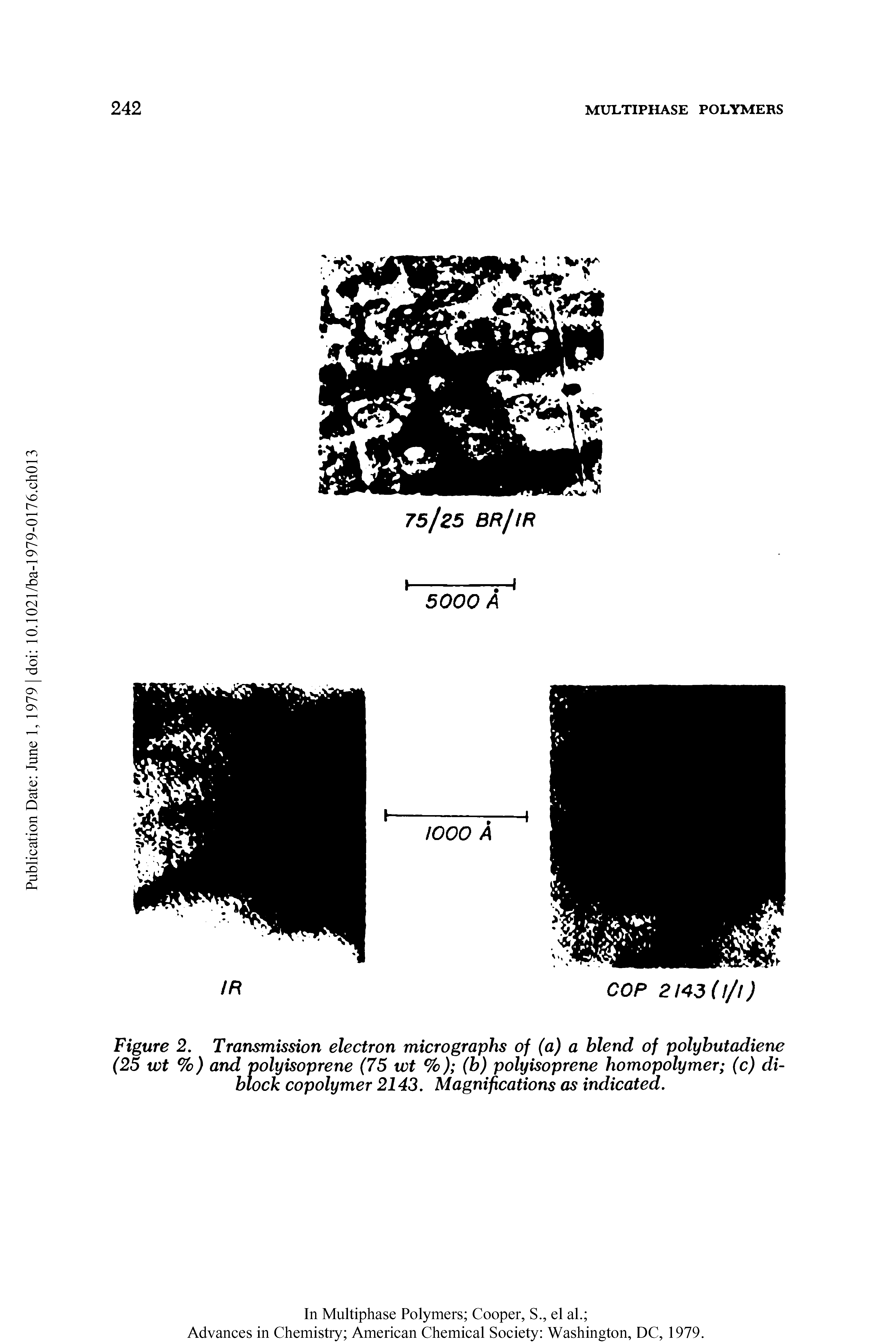 Figure 2. Transmission electron micrographs of (a) a blend of polybutadiene (25 vot %) and polyisoprene (75 wt %) (b) polyisoprene homopolymer (c) diblock copolymer 2143. Magnifications as indicated.