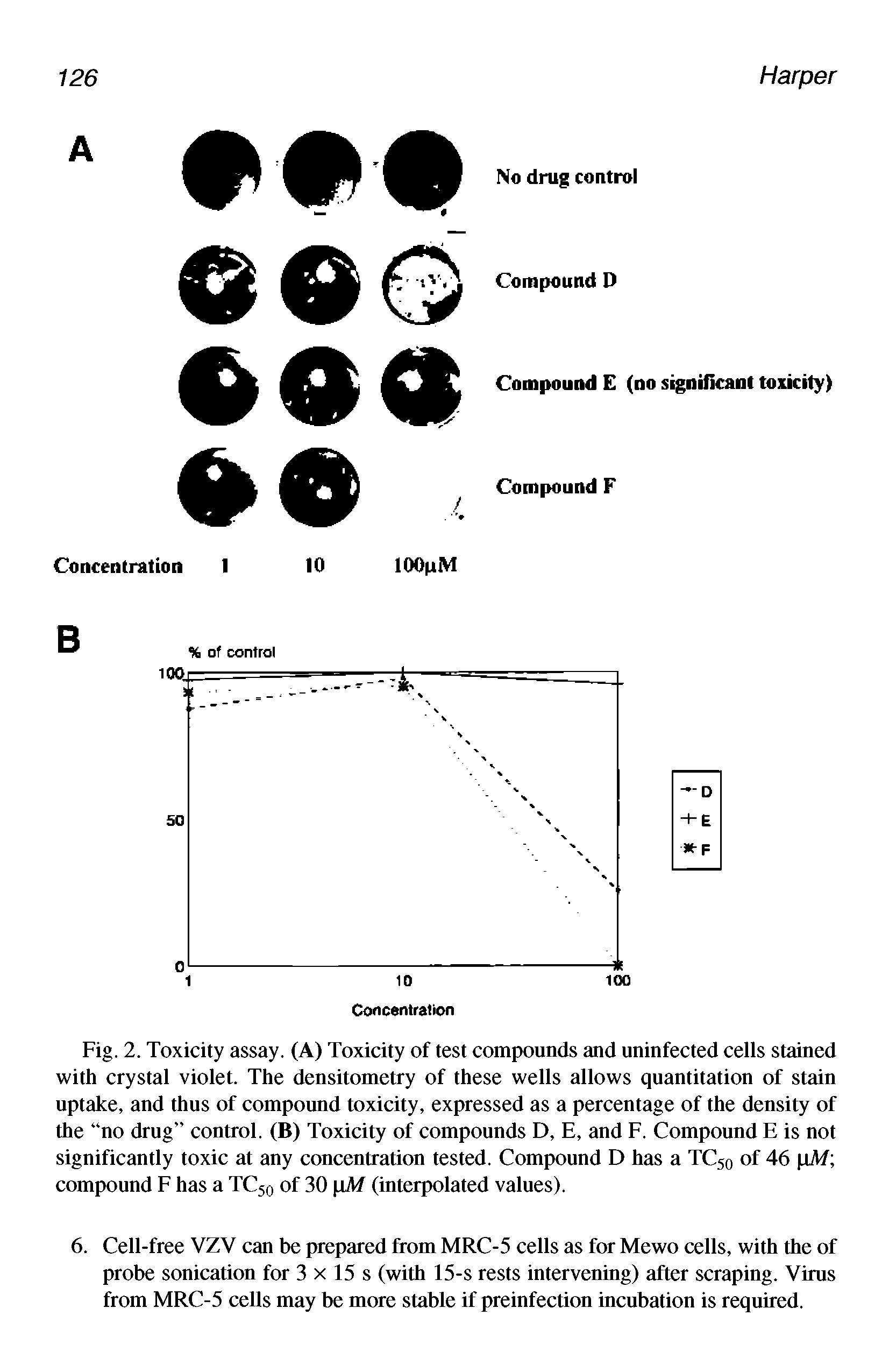 Fig. 2. Toxicity assay. (A) Toxicity of test compounds and uninfected cells stained with crystal violet. The densitometry of these wells allows quantitation of stain uptake, and thus of compound toxicity, expressed as a percentage of the density of the no drug control. (B) Toxicity of compounds D, E, and F. Compound E is not significantly toxic at any concentration tested. Compound D has a TC50 of 46 pM compound F has a TC50 of 30 pM (interpolated values).