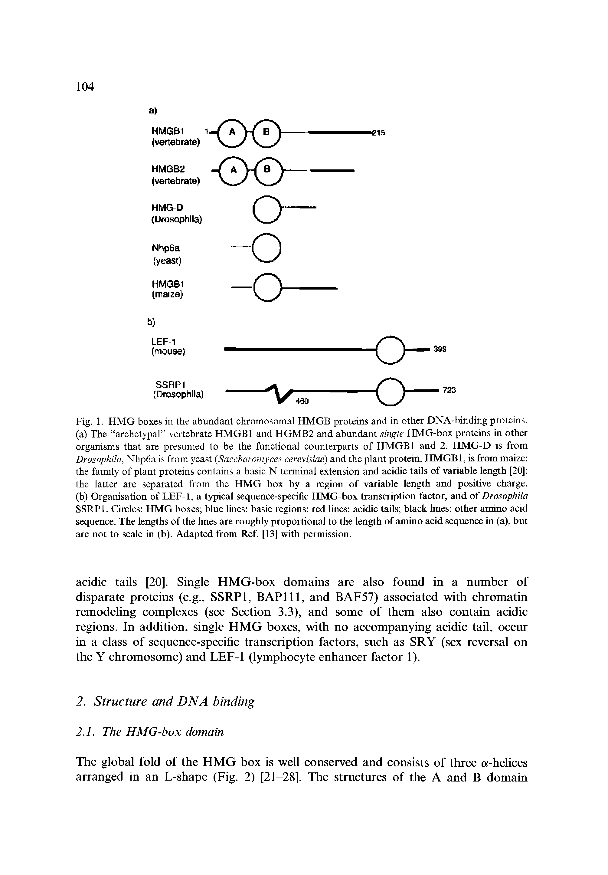 Fig. 1. HMG boxes in the abundant chromosomal HMGB proteins and in other DNA-binding proteins.