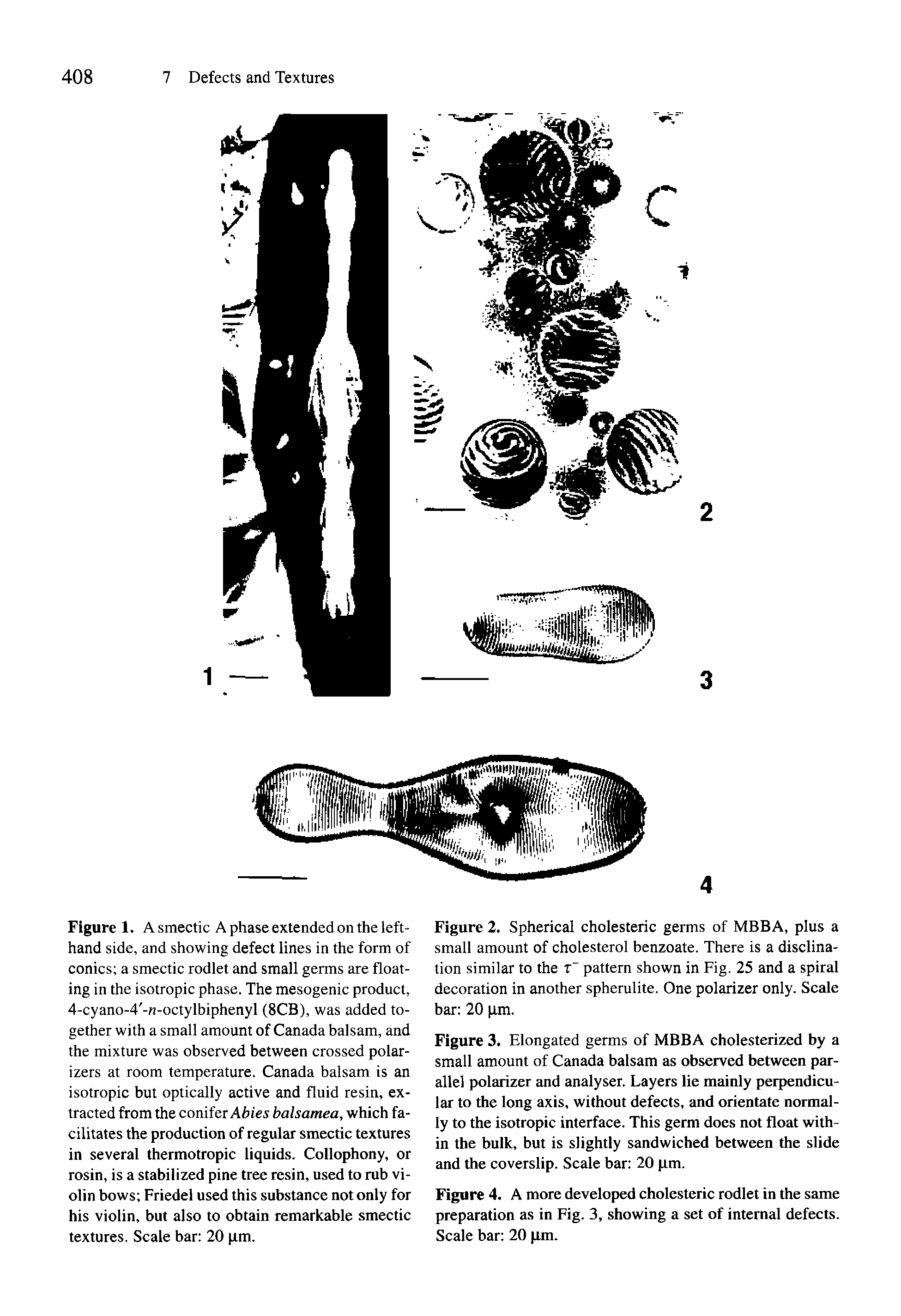 Figure 2. Spherical cholesteric germs of MBBA, plus a small amount of cholesterol benzoate. There is a disclina-tion similar to the T pattern shown in Fig. 25 and a spiral decoration in another spherulite. One polarizer only. Scale bar 20 pm.