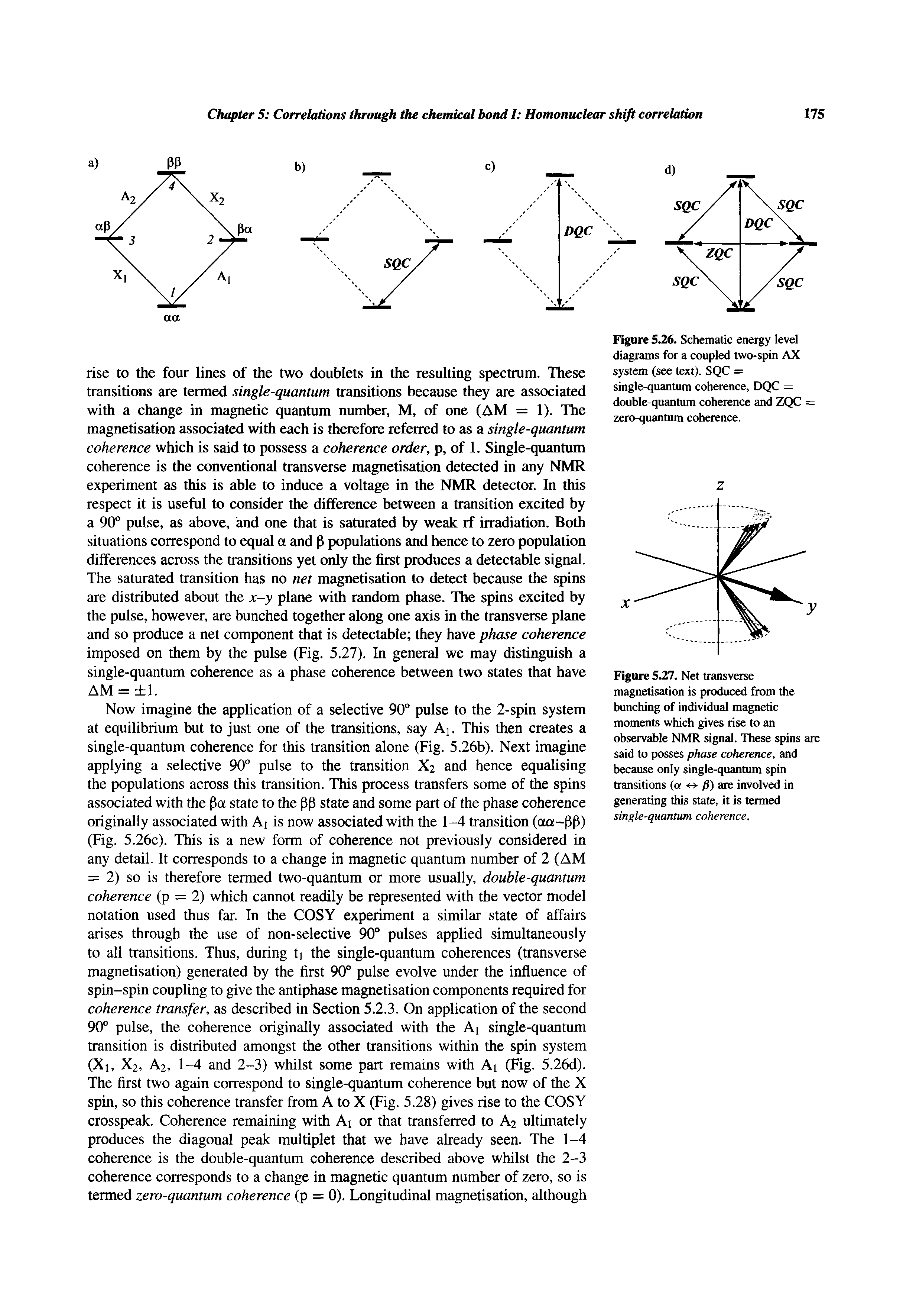 Figure 5.27. Net transverse magnetisation is produced from the bunching of individual magnetic moments which gives rise to an observable NMR signal. These spins are said to posses phase coherence, and because only single-quantum spin transitions (a <-> ) ate involved in generating this state, it is termed single-quantum coherence.