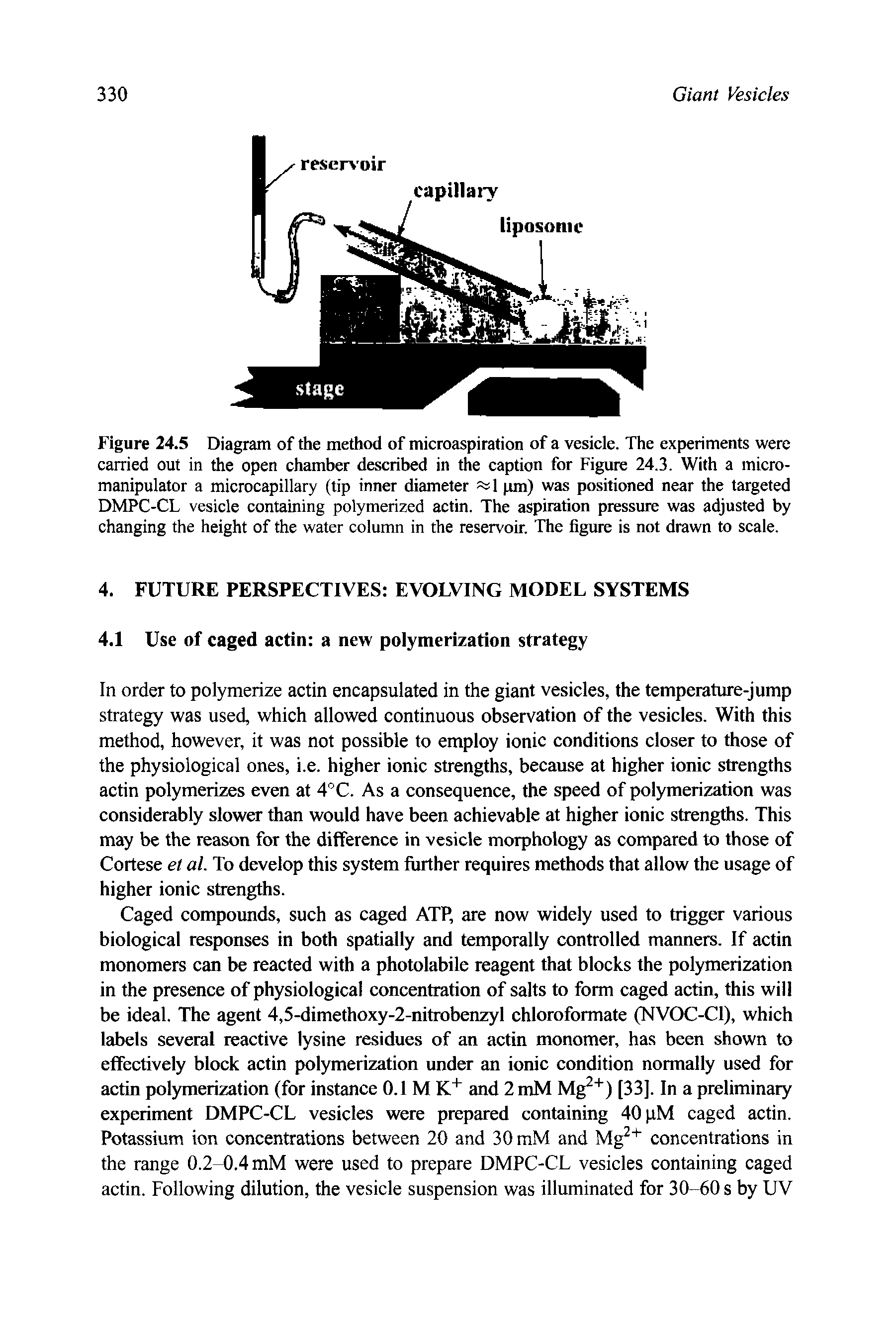 Figure 24.5 Diagiam of the method of microaspiration of a vesicle. The experiments were carried out in the open chamber described in the caption for Figure 24.3. With a micro-manipulator a microcapillary (tip inner diameter 5l pm) was positioned near the targeted DMPC-CL vesicle containing polymerized actin. The aspiration pressure was adjusted by changing the height of the water column in the reservoir. The figure is not drawn to scale.