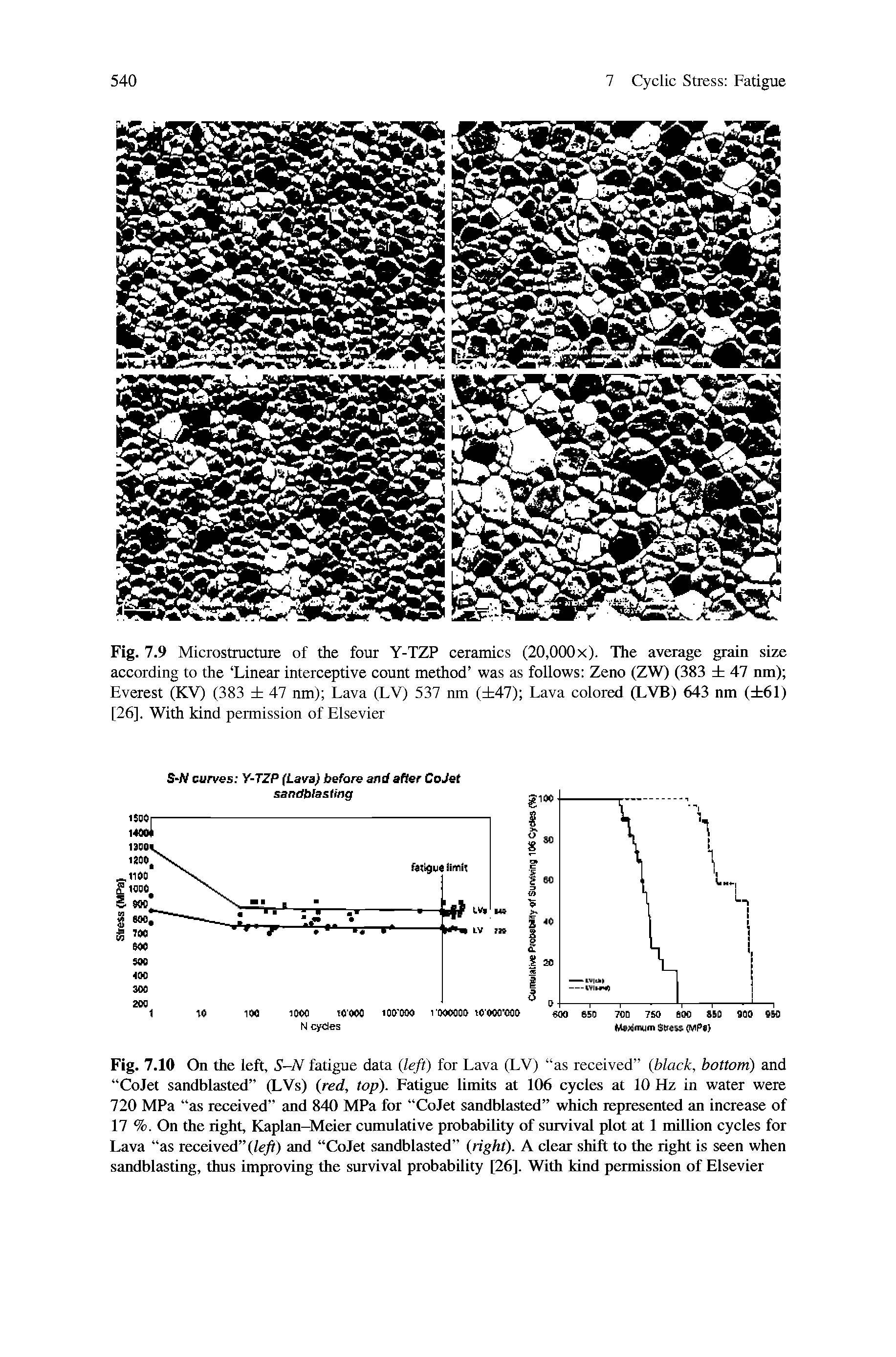 Fig. 7.9 Microstructure of the four Y-TZP ceramics (20,000x). The average grain size according to the Linear interceptive count method was as follows Zeno (ZW) (383 47 nm) Everest (KV) (383 47 nm) Lava (LV) 537 nm ( 47) Lava colored (LVB) 643 nm ( 61) [26], With kind permission of Elsevier...