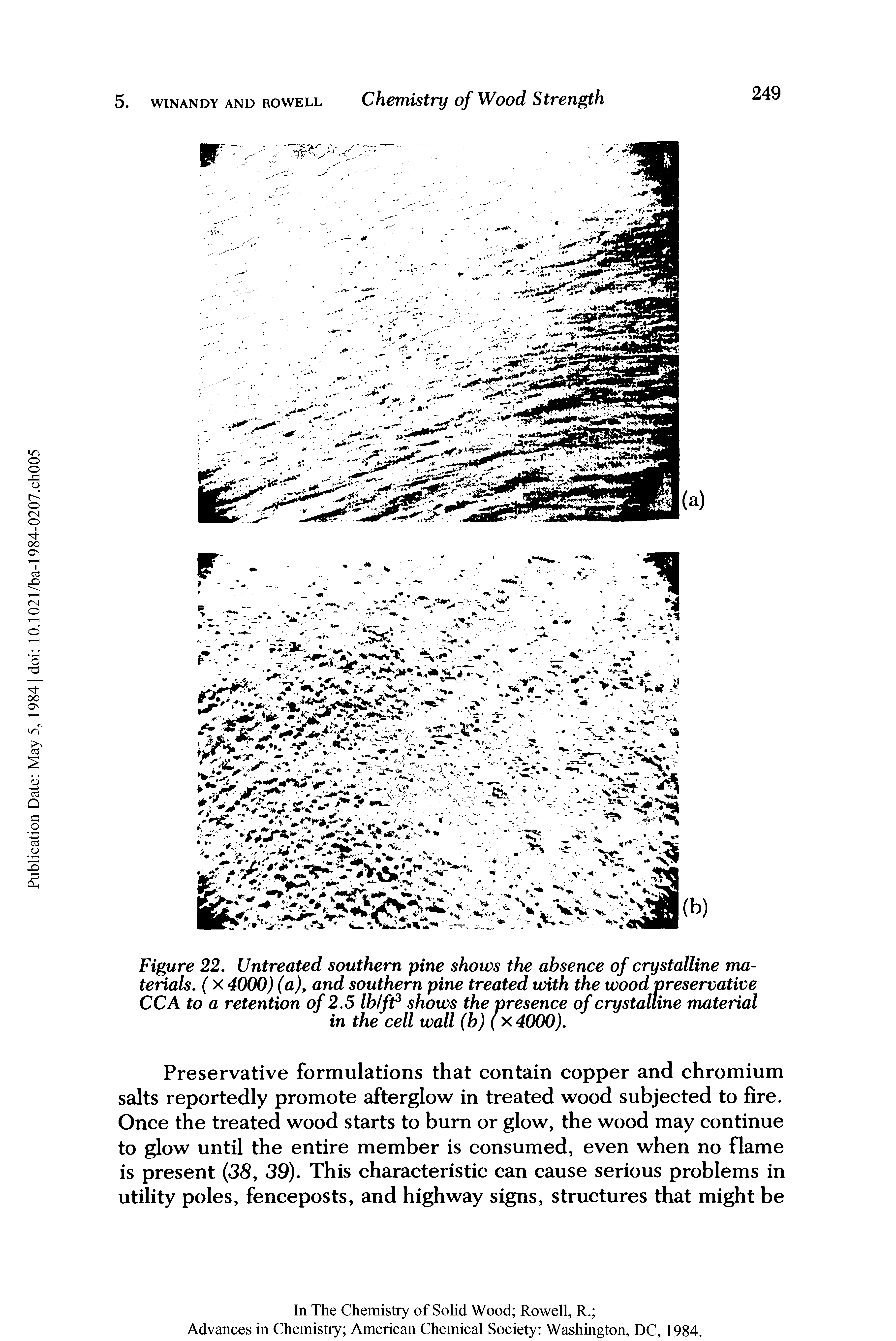 Figure 22. Untreated southern pine shows the absence of crystalline materials. ( X 4(XX)) (a), and southern pine treated with the wood preservative...