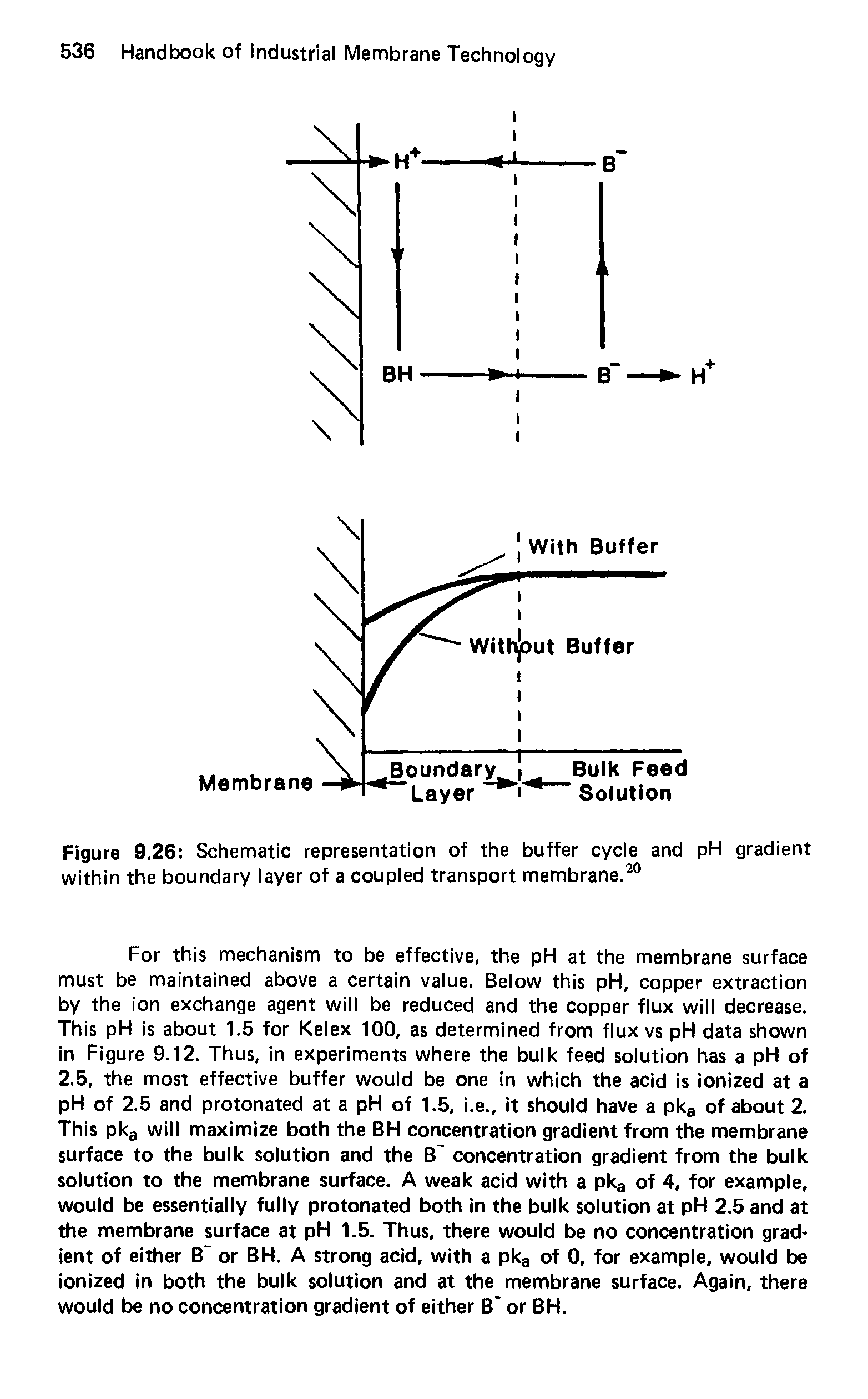 Figure 9,26 Schematic representation of the buffer cycle and pH gradient within the boundary layer of a coupled transport membrane.20...