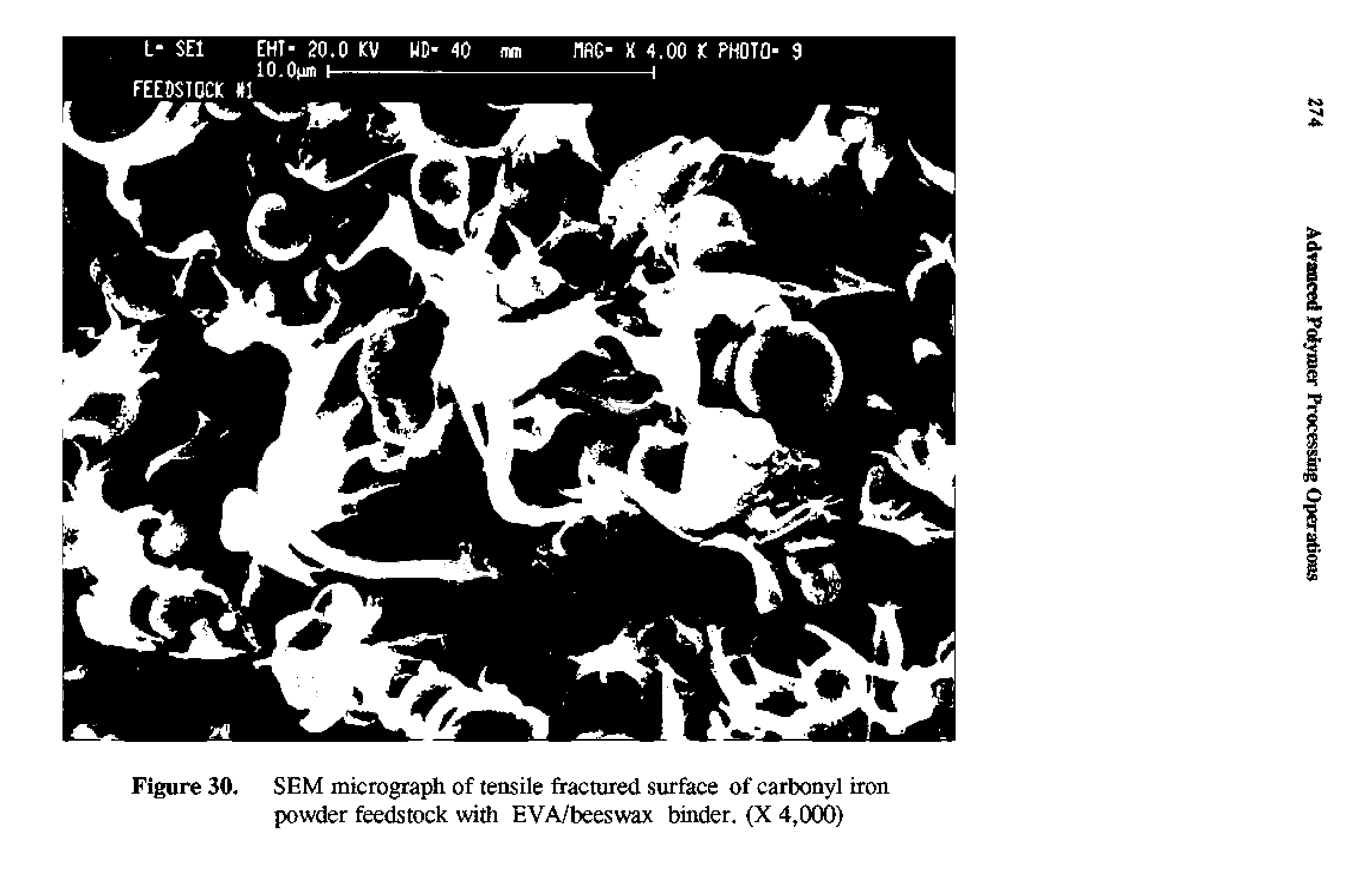 Figure 30. SEM micrograph of tensile fractured surfece of carbonyl iron powder feedstock with EVA/beeswax binder. (X 4,000)...